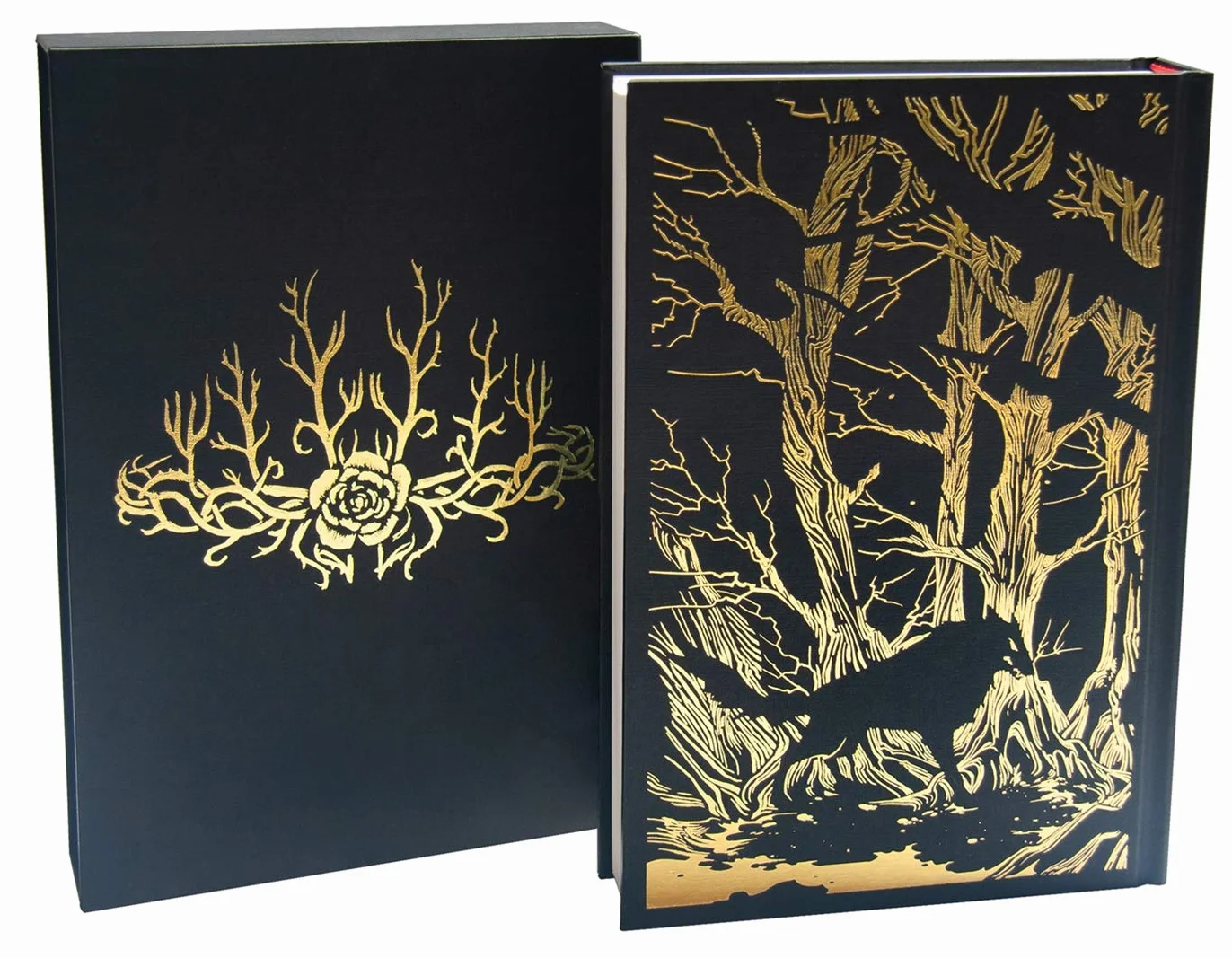 A Court of Thorns and Roses Collector's Edition: 1: From the # 1 Sunday Times best-selling author of A Court of Thorns and Roses