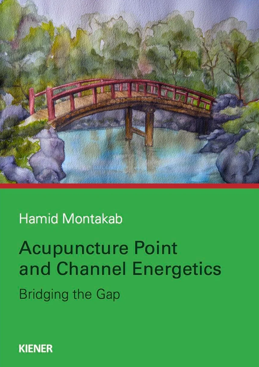 Acupuncture Point and Channel Energetics: Bridging the Gap