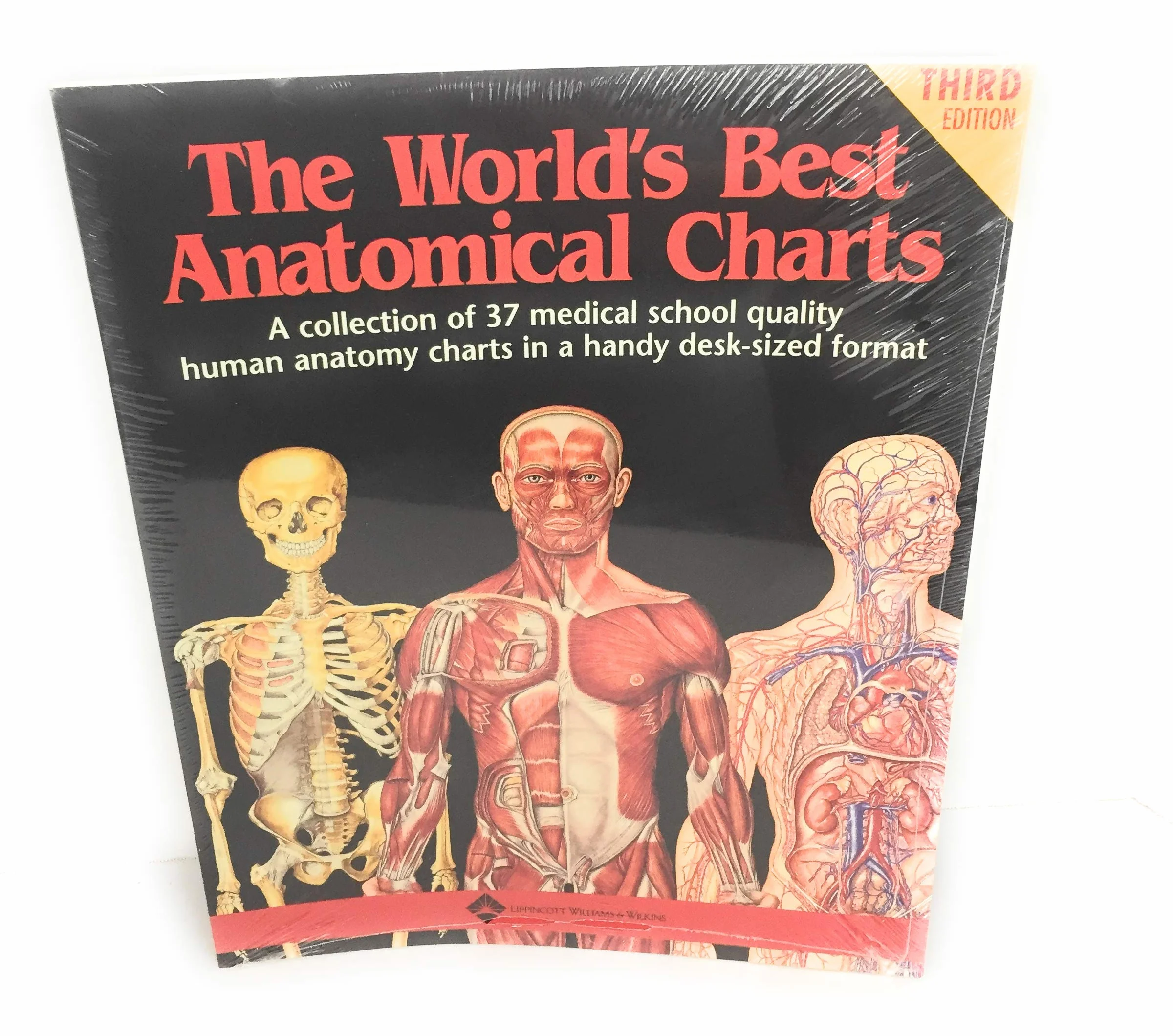 The World's Best Anatomical Charts