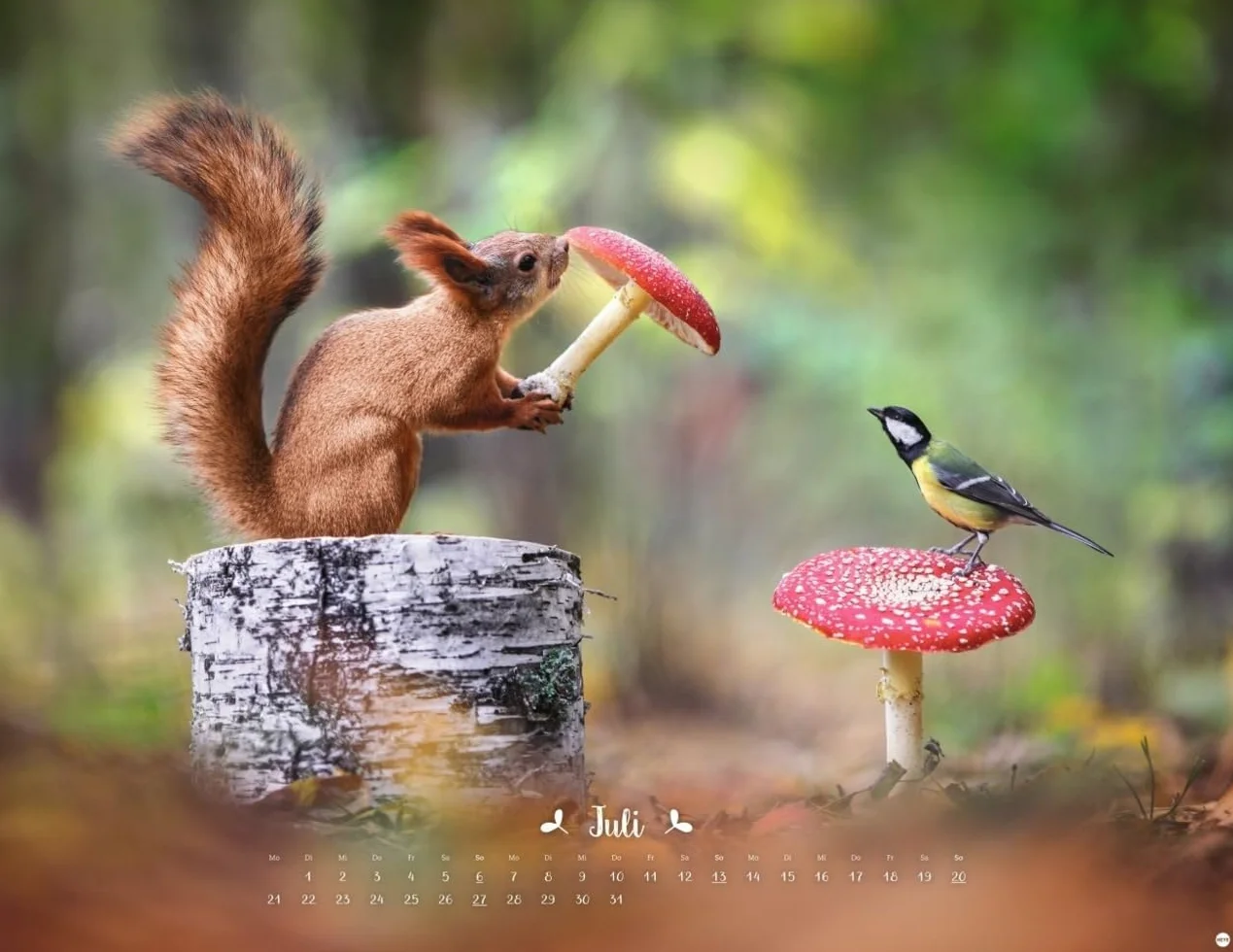 Vadim Trunov: Märchenhaftes Waldleben Posterkalender 2025: Naturkalender 2025 gestaltet mit Bildern des Naturfotografen Vadim Trunov. Fotokalender 2025 im Querformat. 44 x 34 cm.