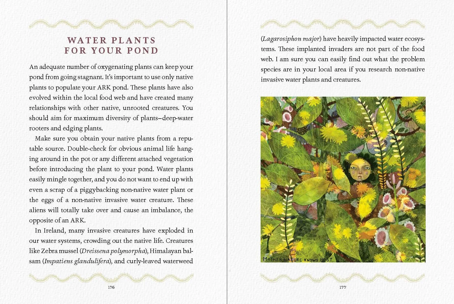 We Are the Ark: Returning Our Gardens to Their True Nature Through Acts of Restorative Kindness