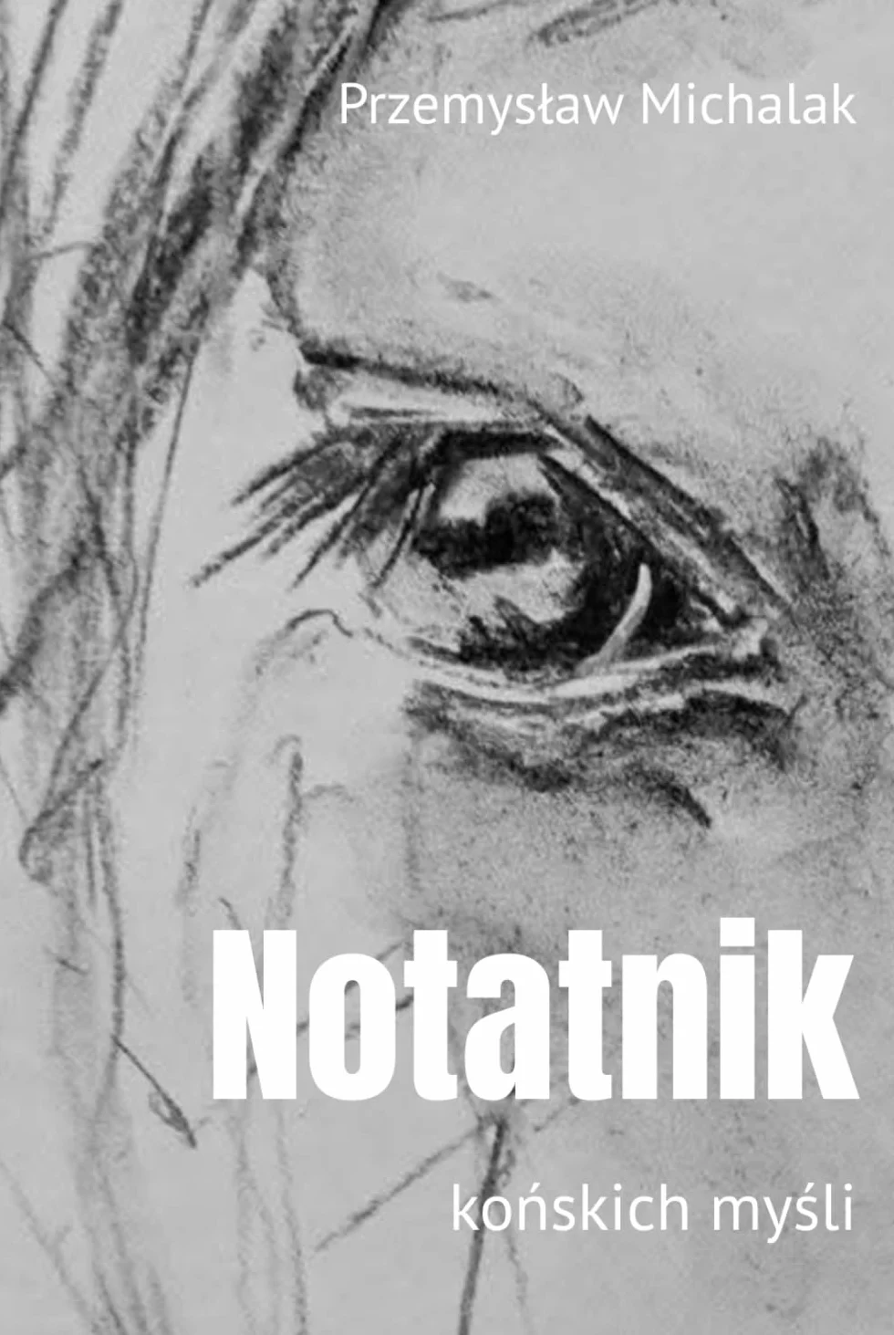 Notatnik: końskich myśli