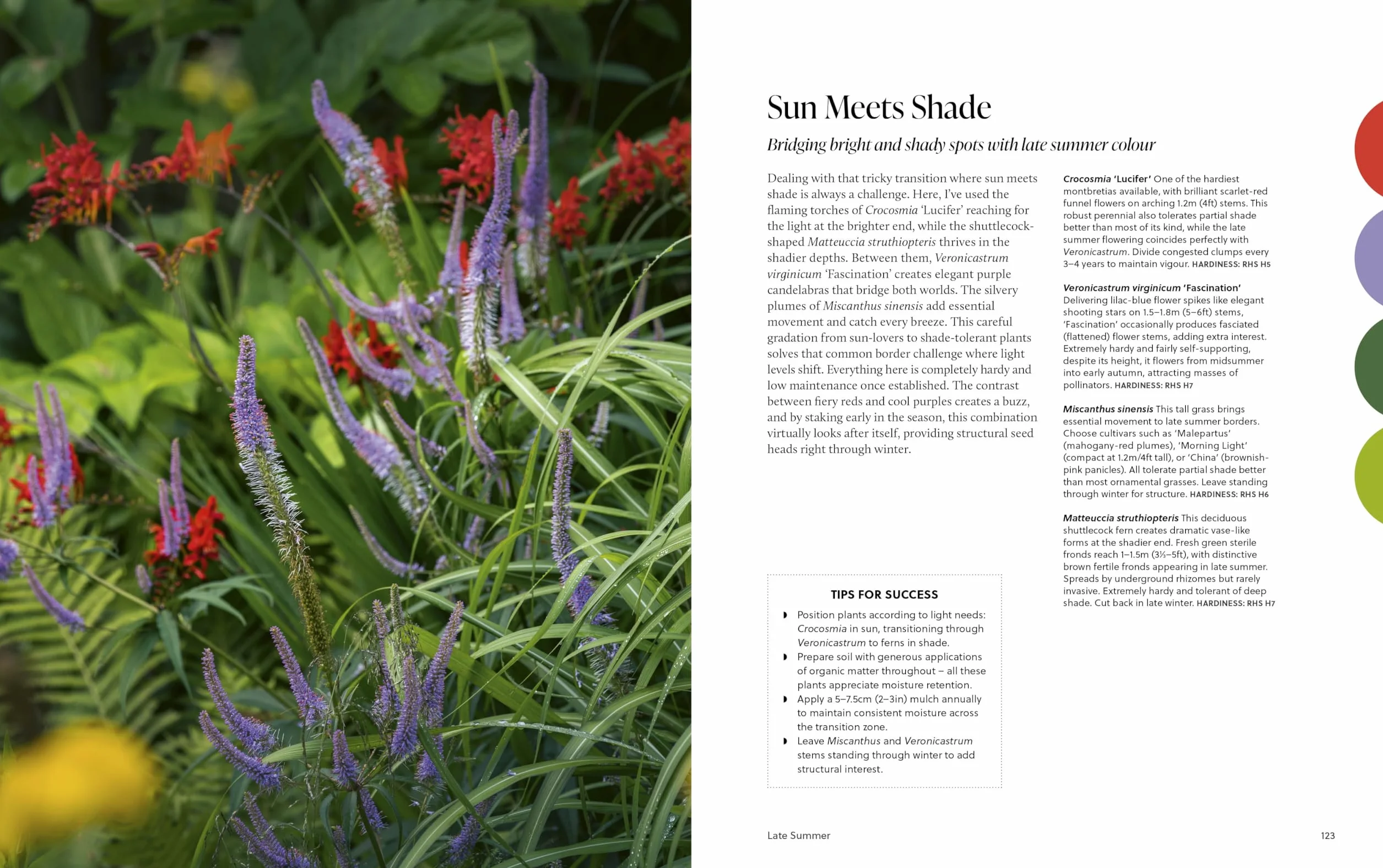 A Year of Colour: How to create a bold and bright garden