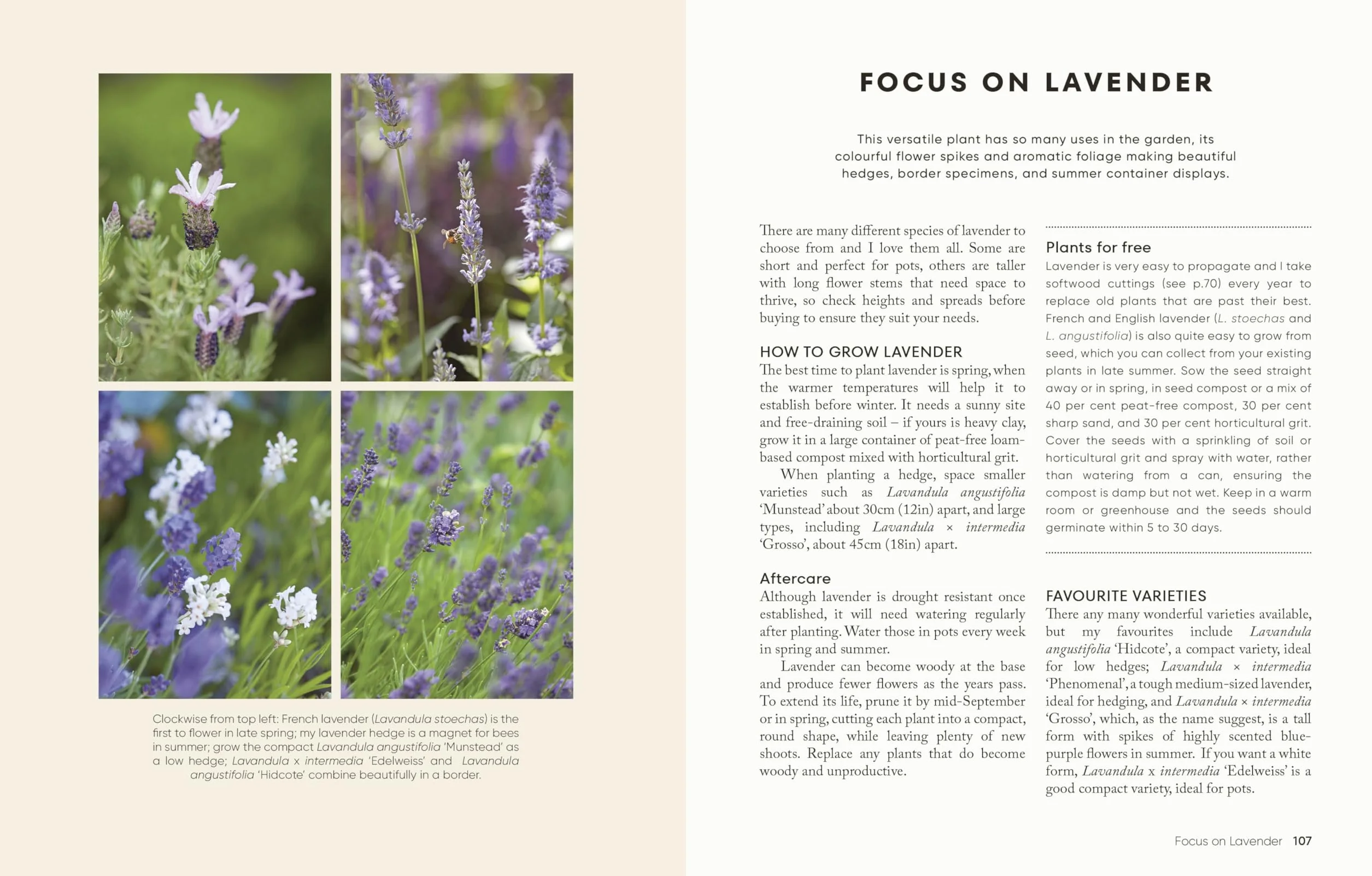 The Money-Saving Garden Year: A Month-by-month Guide to a Great Garden that Costs Less