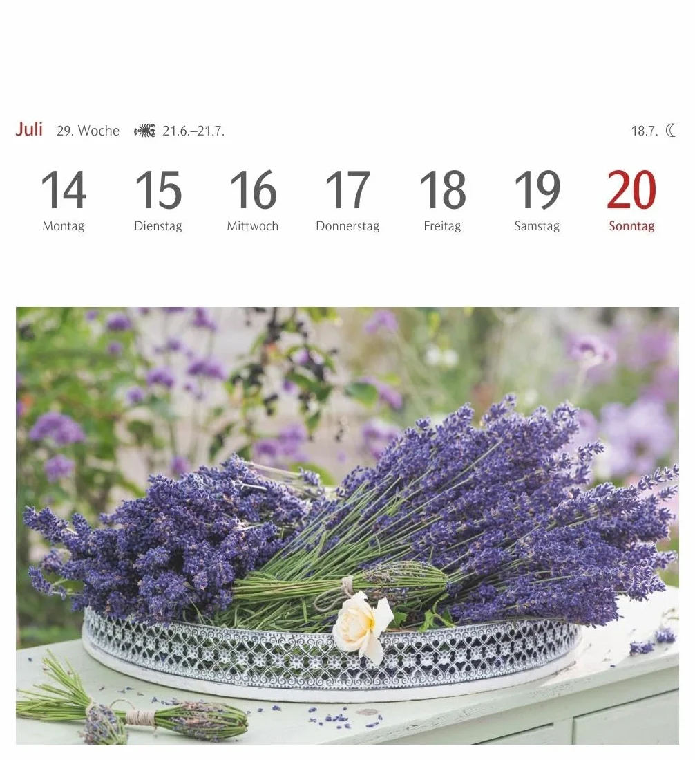 Blumenpracht Postkartenkalender 2025 - Wochenkalender mit 53 Postkarten: Kalender mit 53 traumhaften Fotos von Blumensträußen und Blüten. Blumen-Kalender 2025 mit Postkarten