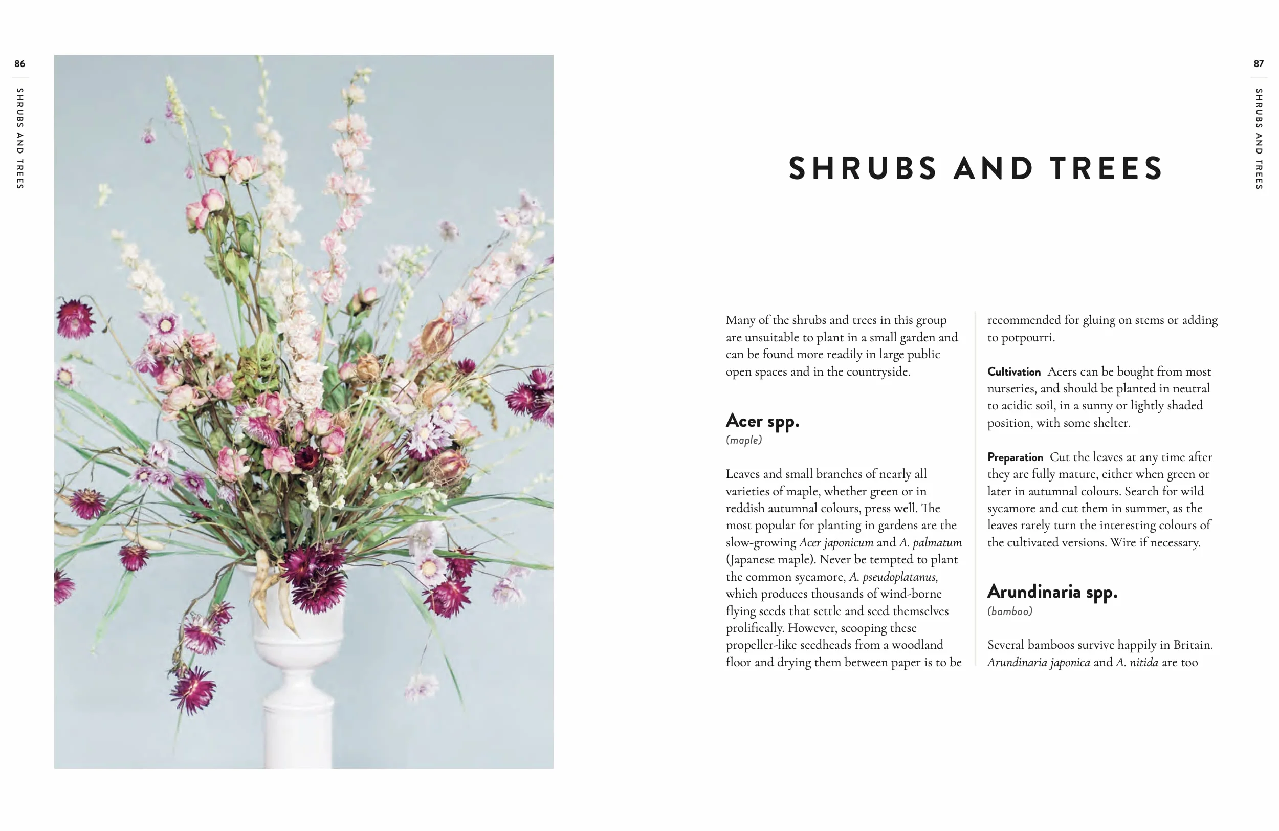 Forever Flowers: Growing and arranging dried flowers