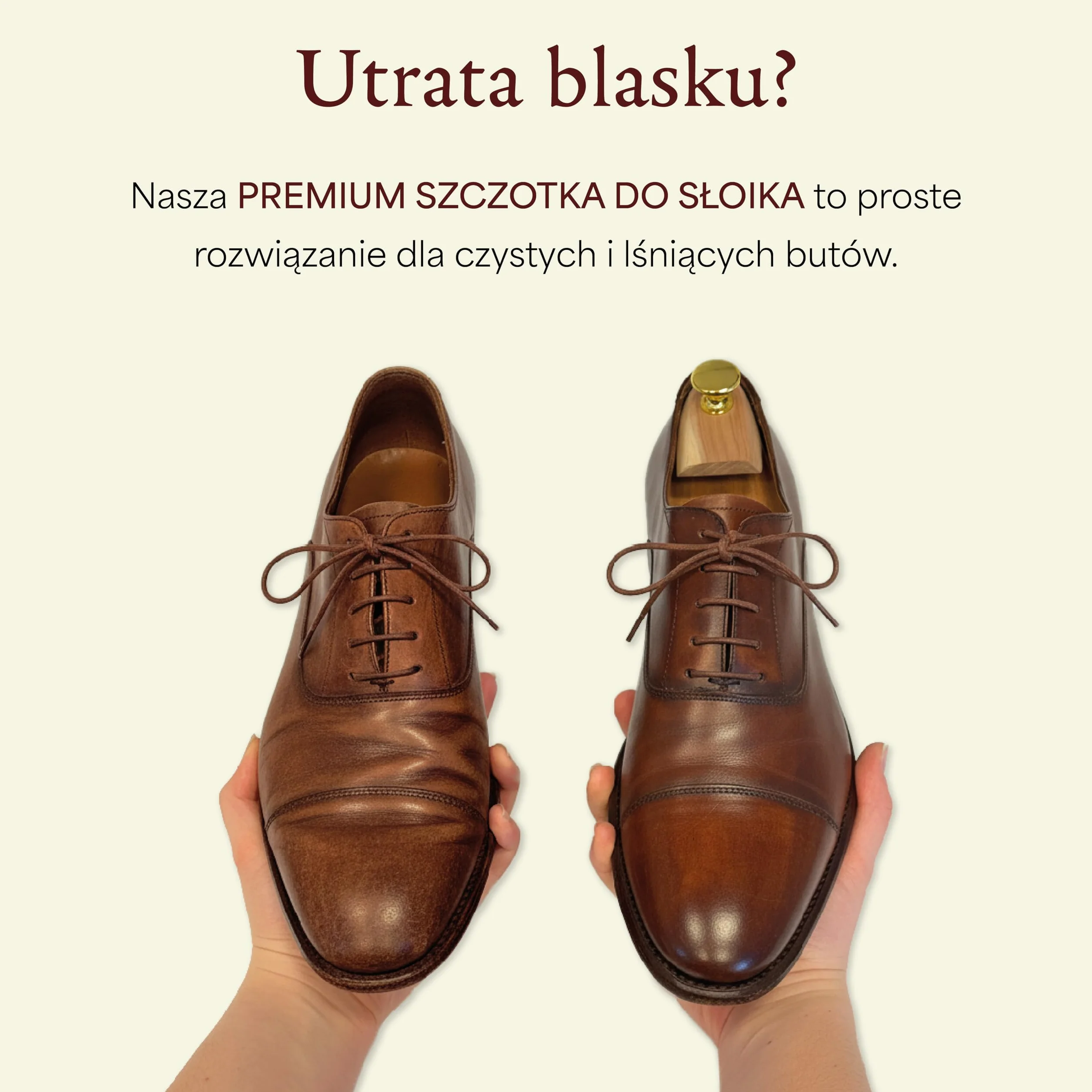 Langer & Messmer Pędzel do nakładania pasty do butów z drobnego włosia końskiego - Pędzel do profesjonalnej pielęgnacji butów - Pojedynczy ciemny