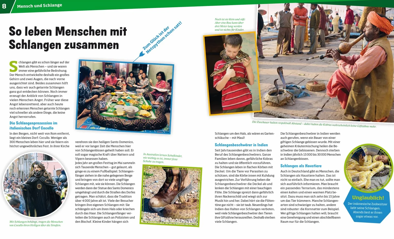 WAS IST WAS Band 121 Schlangen. Jäger mit dem sechsten Sinn
