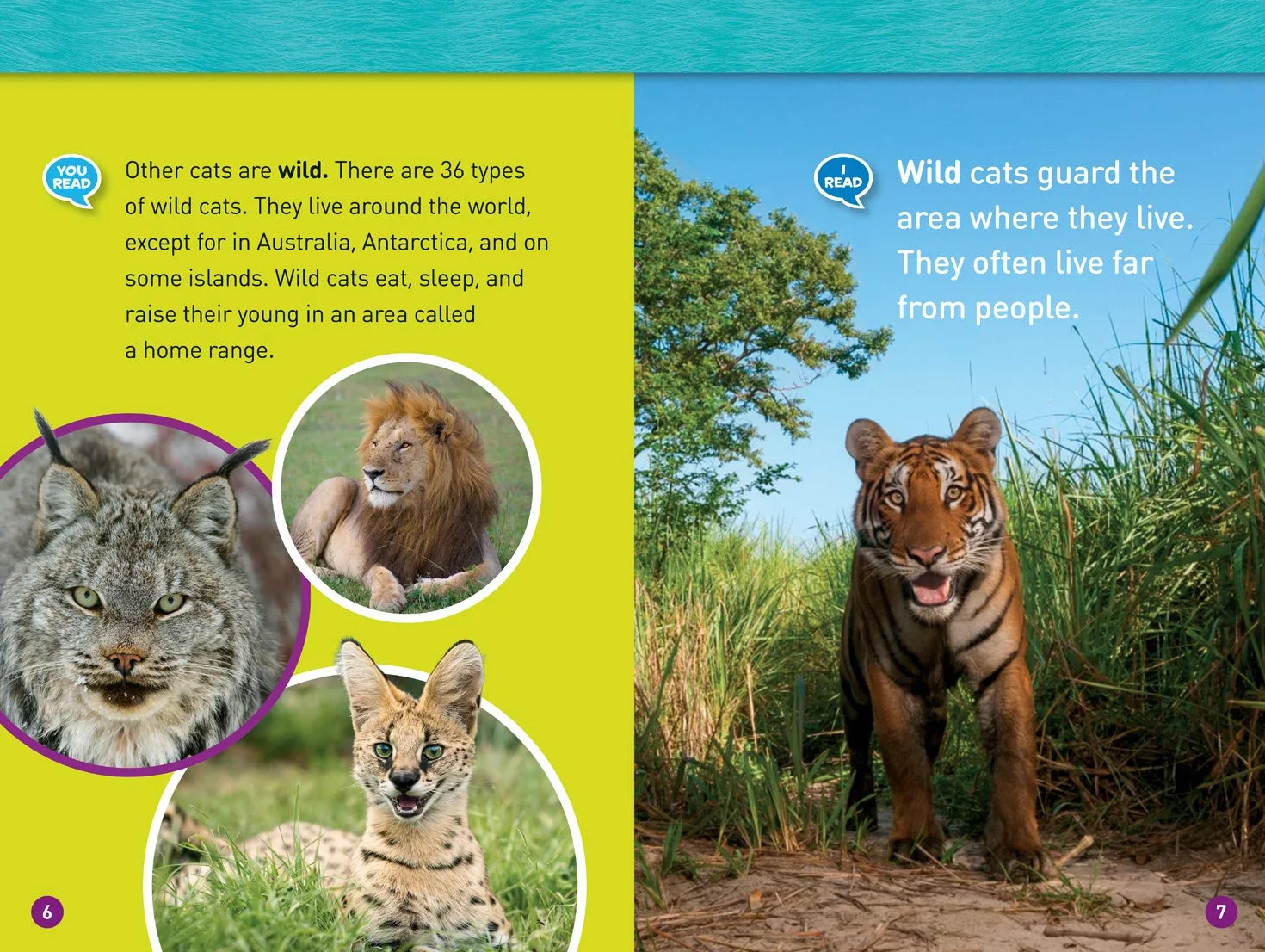 National Geographic Kids Readers: Cats: Level 1 Co-reader
