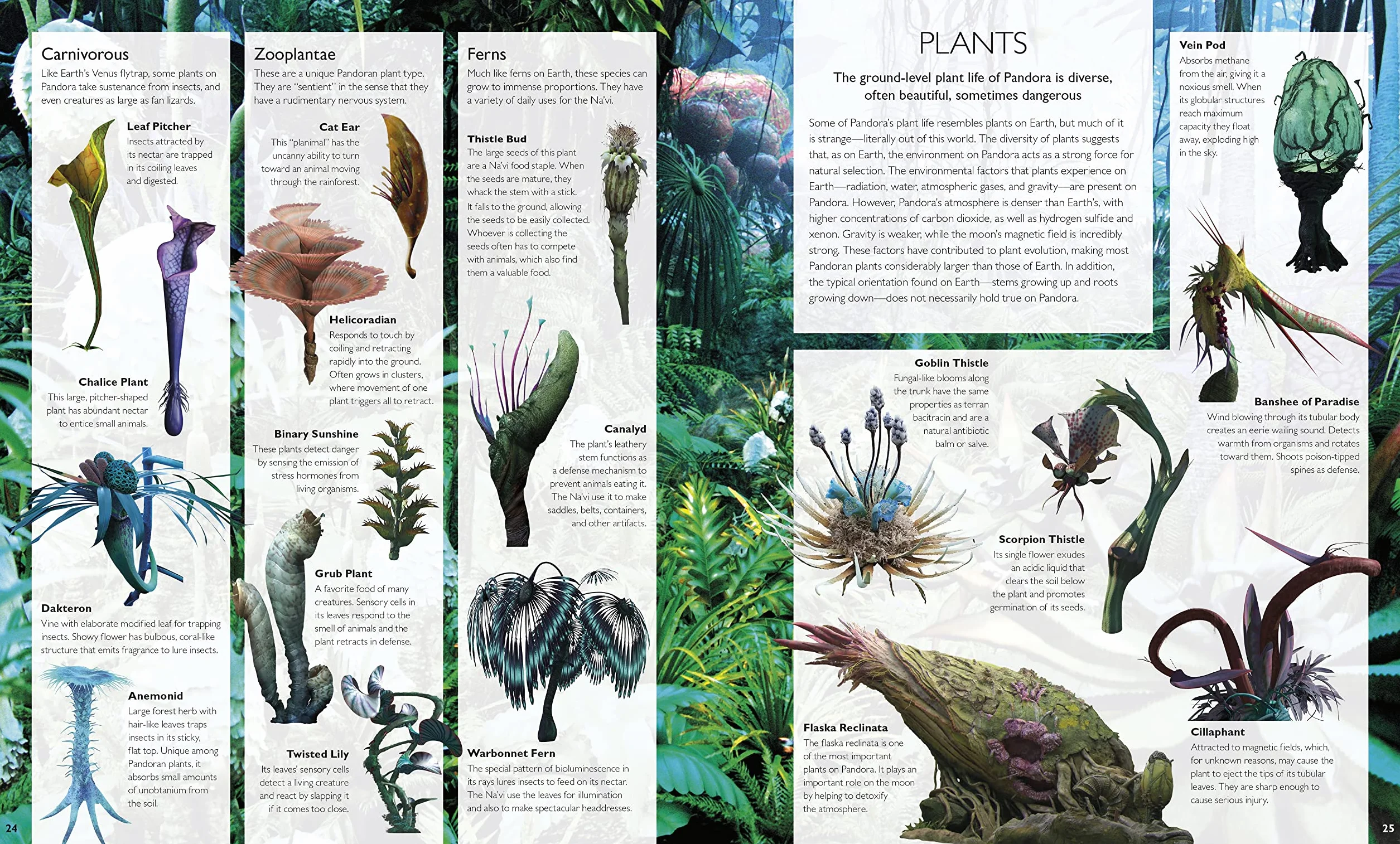 The World of Avatar: A visual exploration