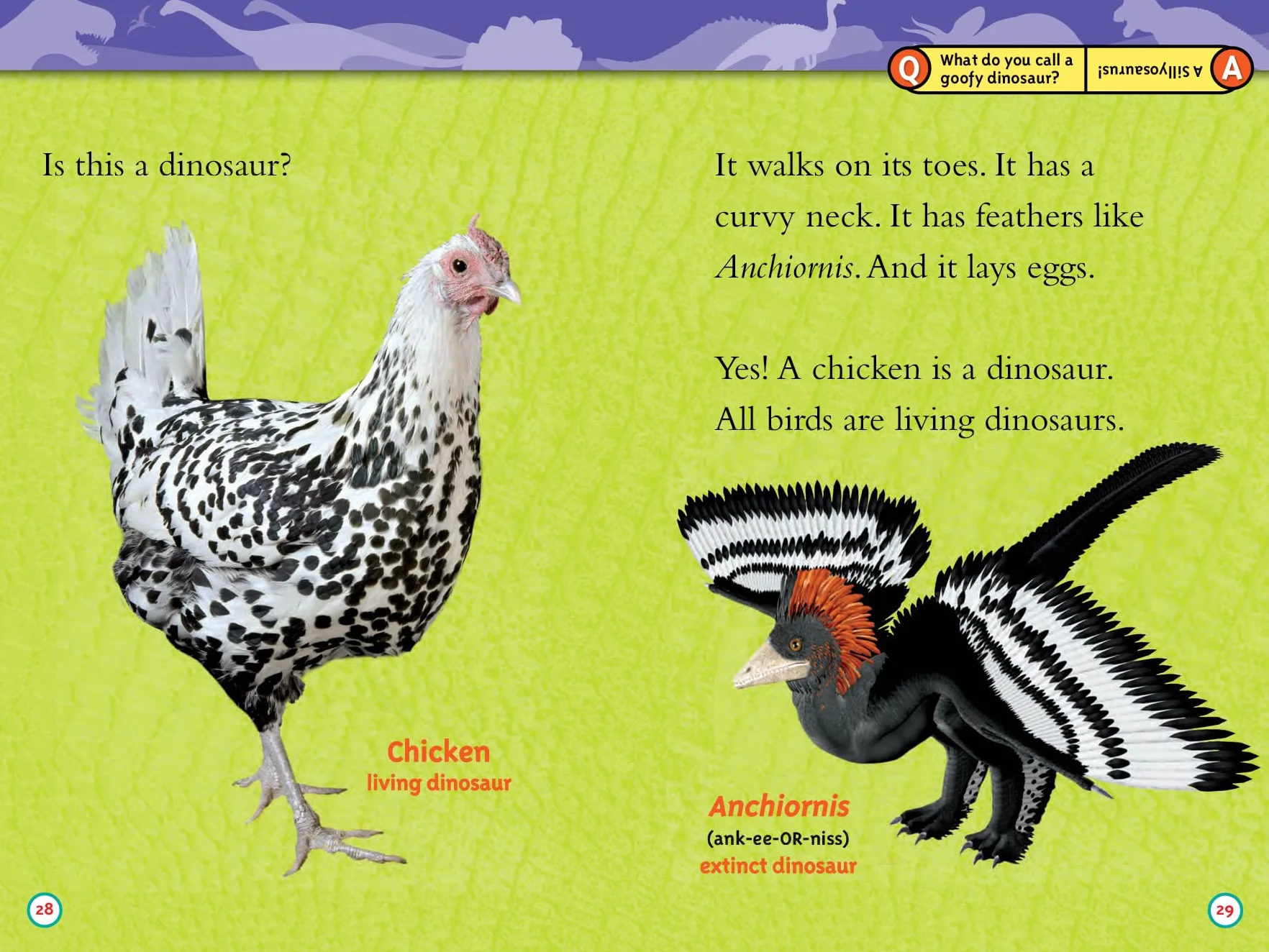 National Geographic Kids Readers: Dinosaurs