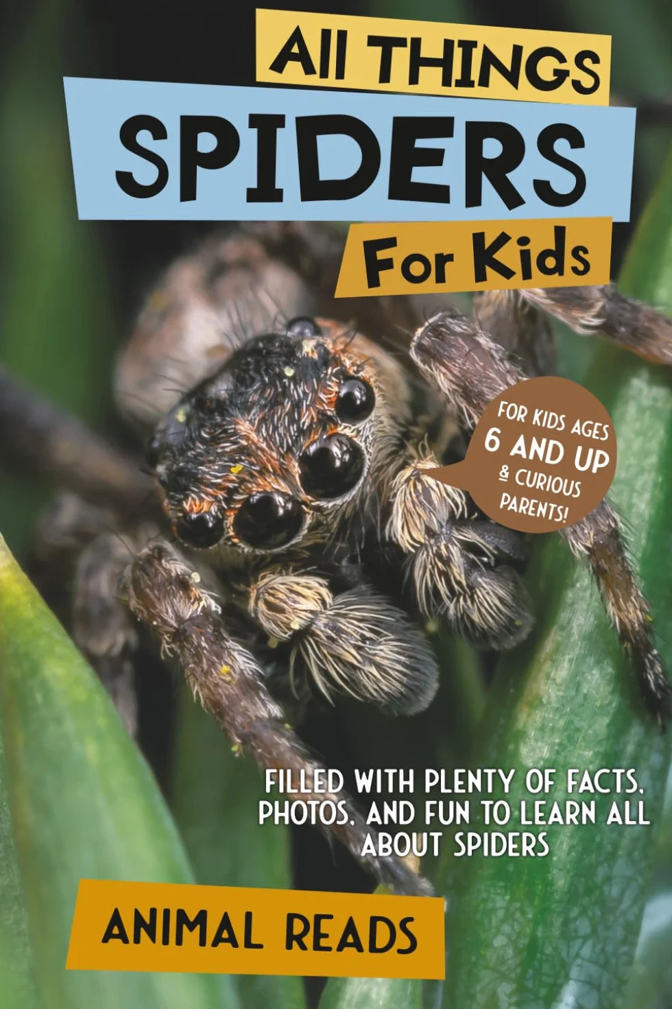 All Things Spiders For Kids: Filled With Plenty of Facts, Photos, and Fun to Learn all About Spiders