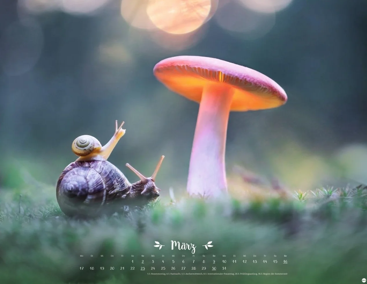 Vadim Trunov: Märchenhaftes Waldleben Posterkalender 2025: Naturkalender 2025 gestaltet mit Bildern des Naturfotografen Vadim Trunov. Fotokalender 2025 im Querformat. 44 x 34 cm.