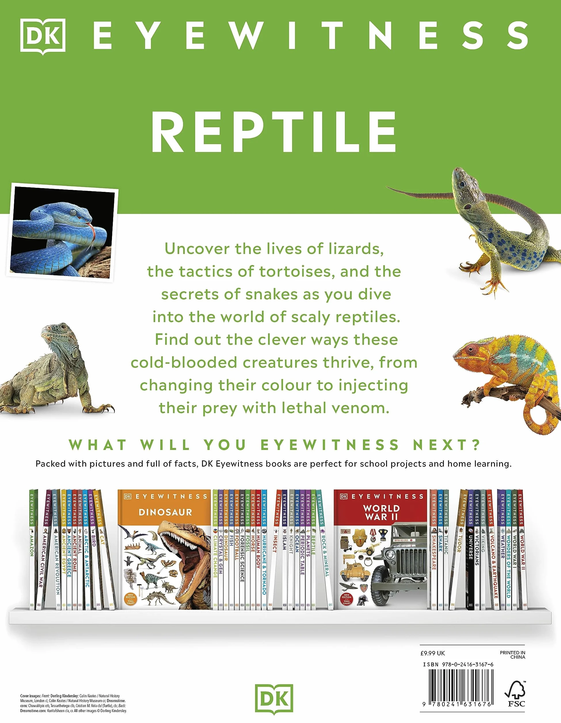 Reptile: DK Eyewitness