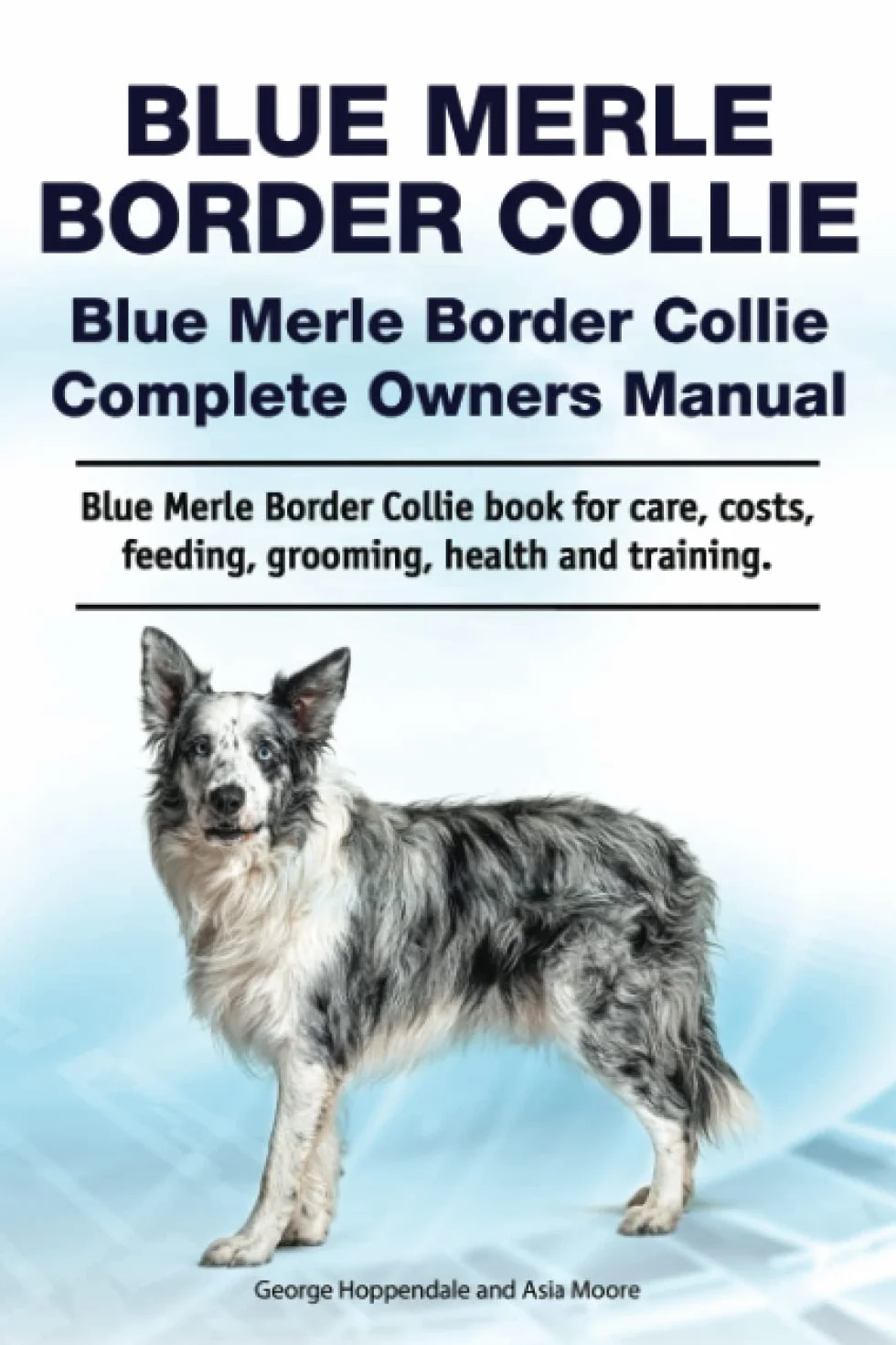 Blue Merle Border Collie. Blue Merle Border Collie Complete Owners Manual. Blue Merle Border Collie book for care, costs, feeding, grooming, health and training.