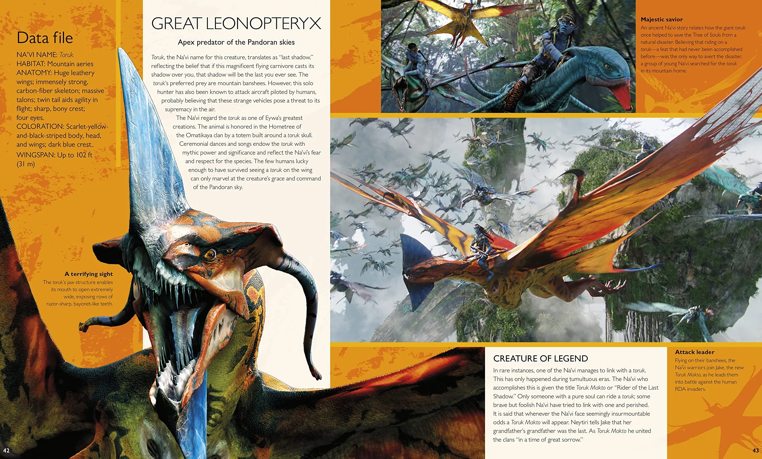 The World of Avatar: A visual exploration