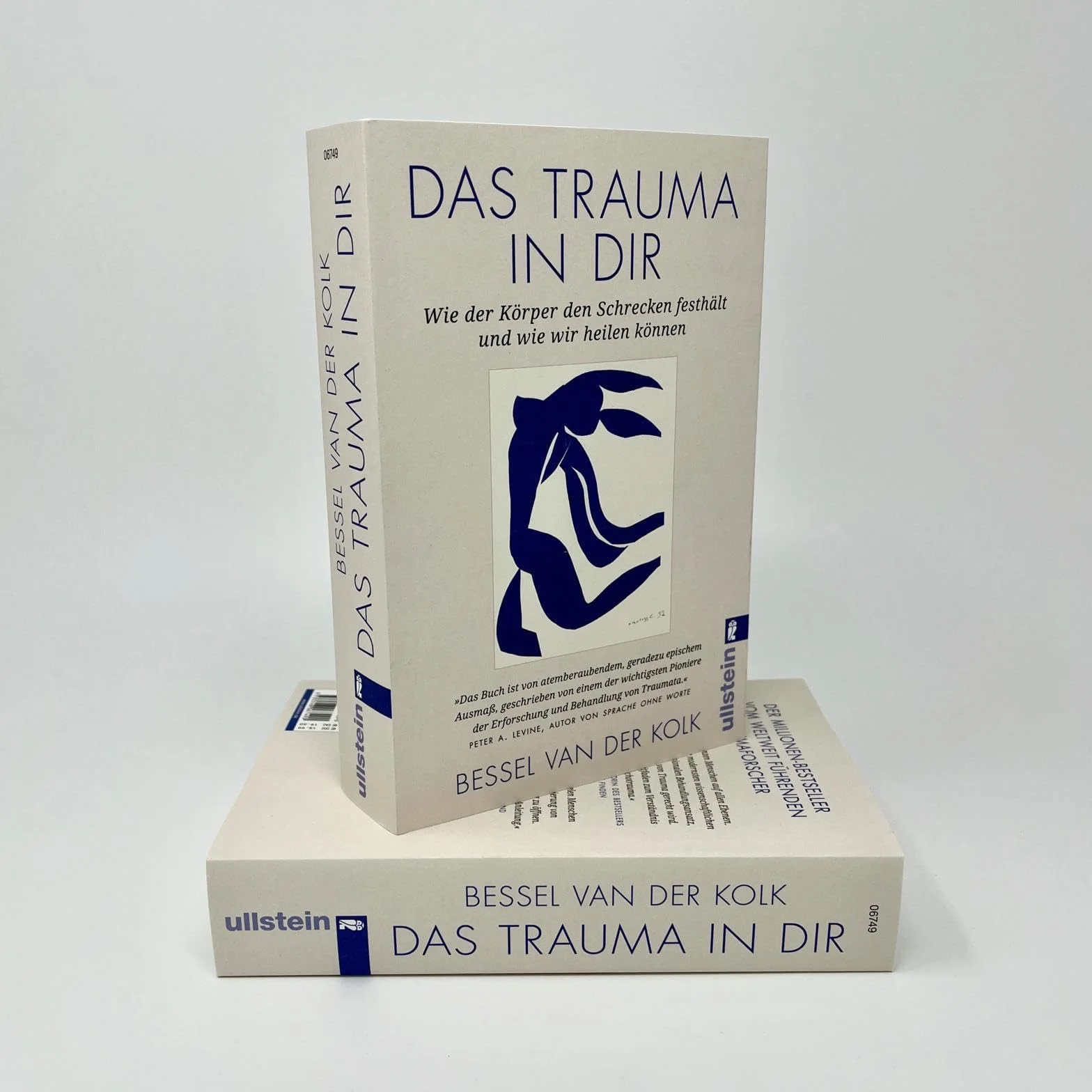 Das Trauma in dir: Wie der Körper den Schrecken festhält und wie wir heilen können | Der Bestseller "Verkörperter Schrecken" vom renommierten Traumaforscher jetzt als Taschenbuch