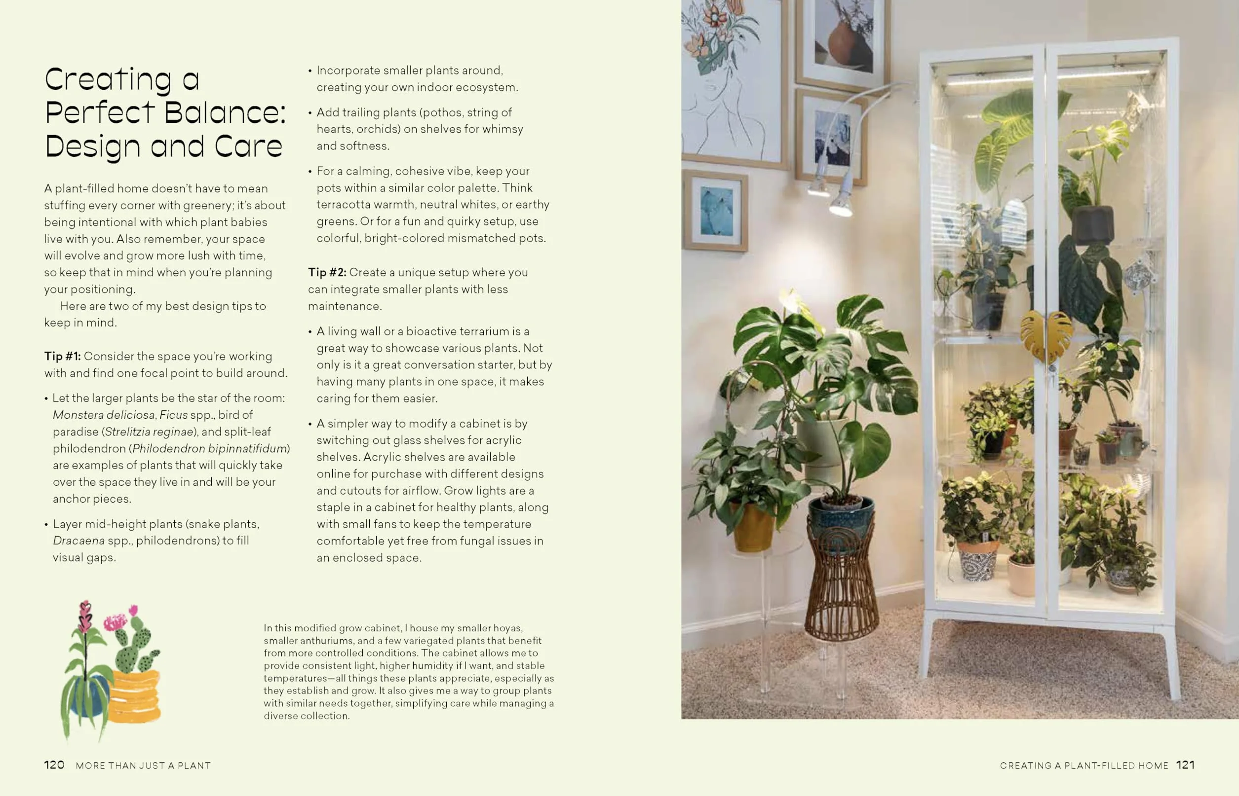 More Than Just a Plant: How to Care for Your Plants as They Care for You