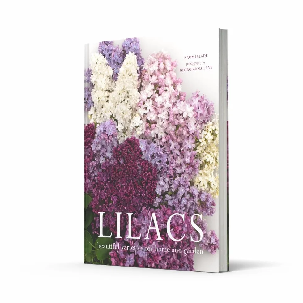 Lilacs: The ultimate flower guide for growing, flowering and cutting varieties for the home and gardening