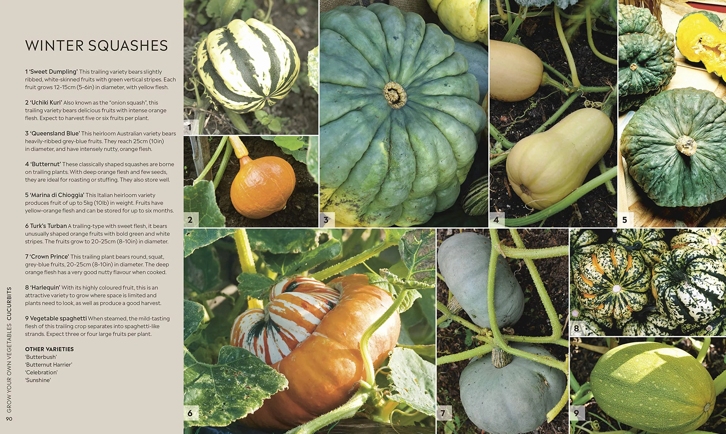 RHS Step-by-Step Veg Patch: A Foolproof Guide to Every Stage of Growing Fruit and Veg