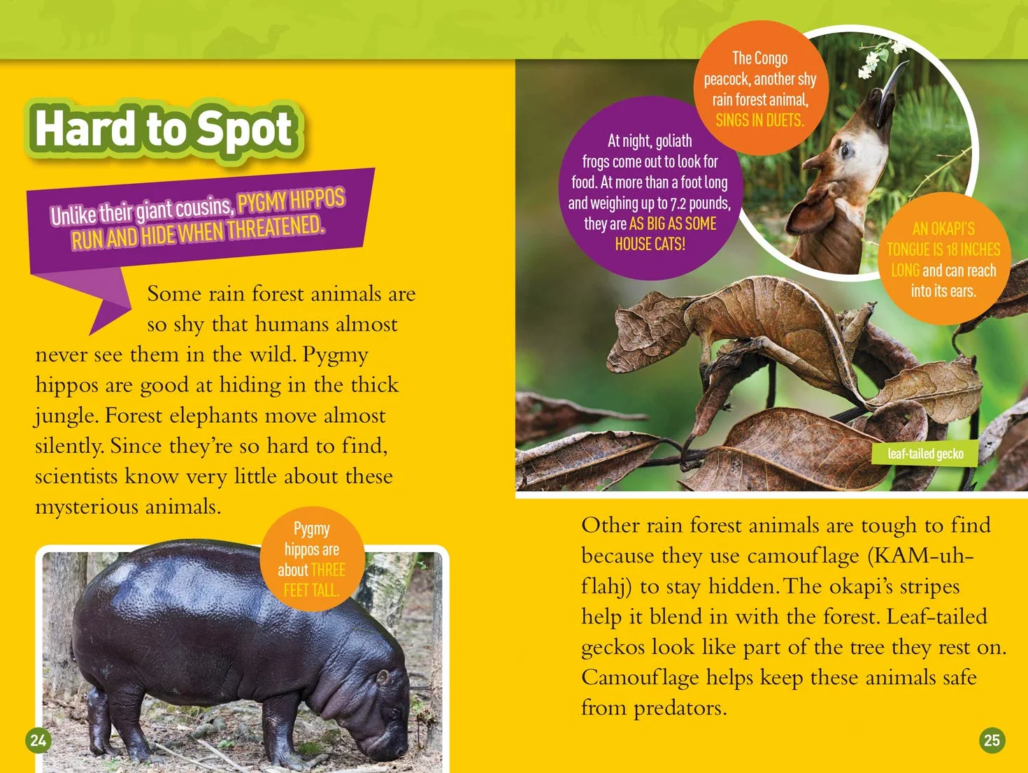 National Geographic Kids Readers: Roar! 100 Fun Facts About African Animals