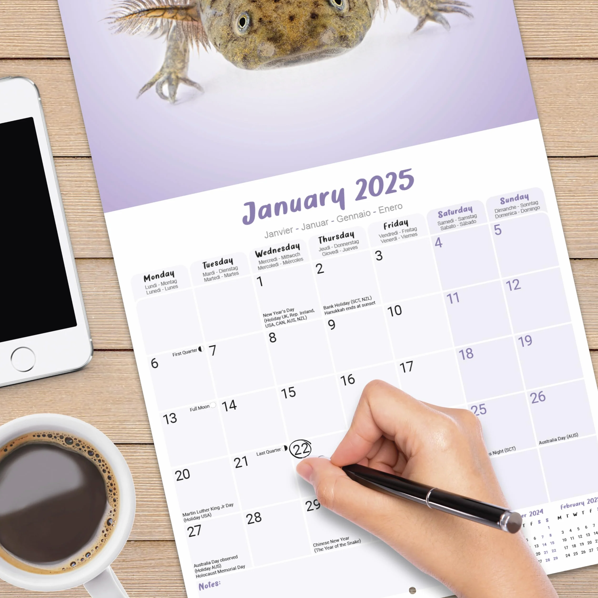 Axolotls Calendar 2025 Square Animal Wall Calendar - 16 Month: Original Avonside-Kalender [Mehrsprachig] [Kalender]