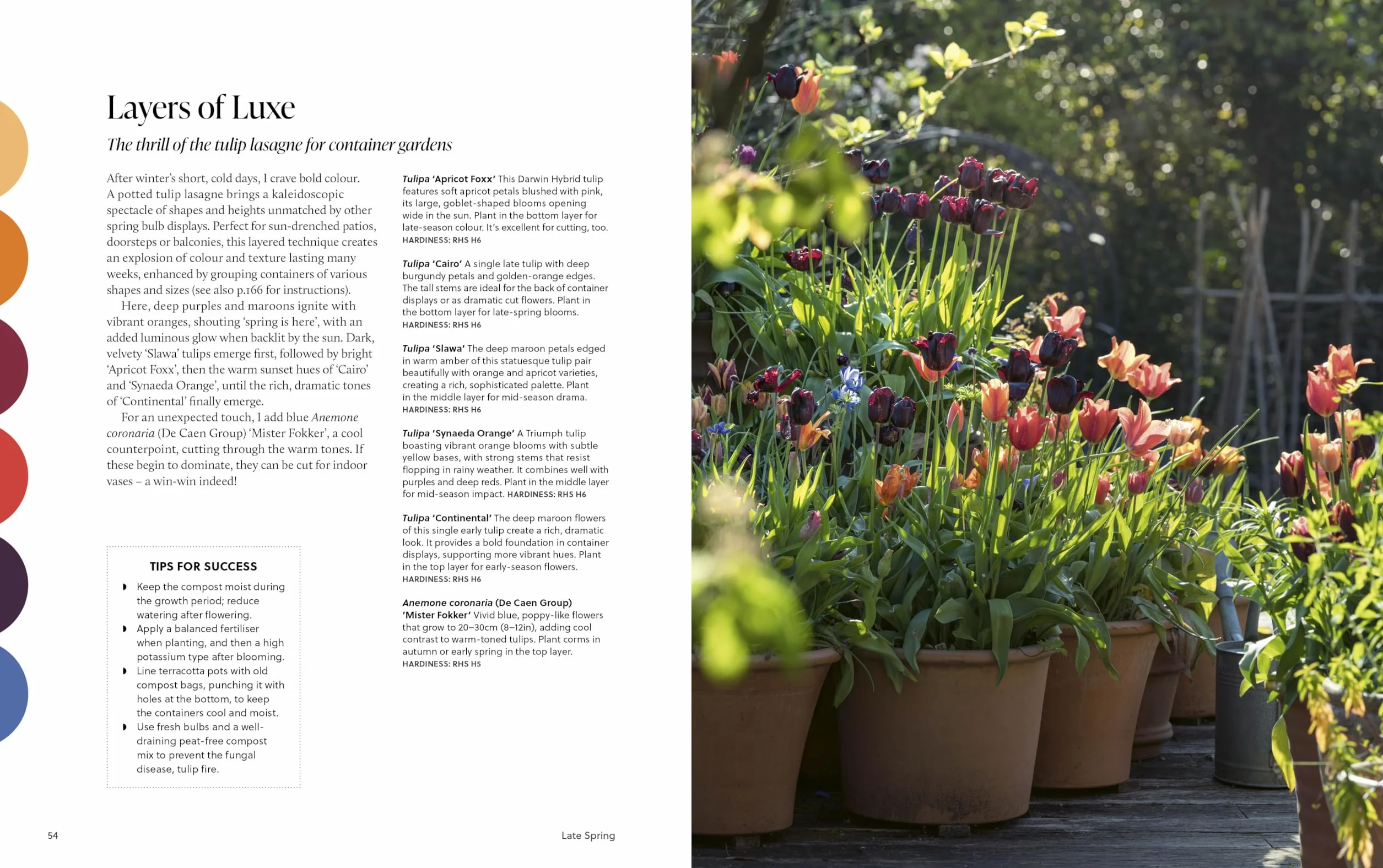 A Year of Colour: How to create a bold and bright garden