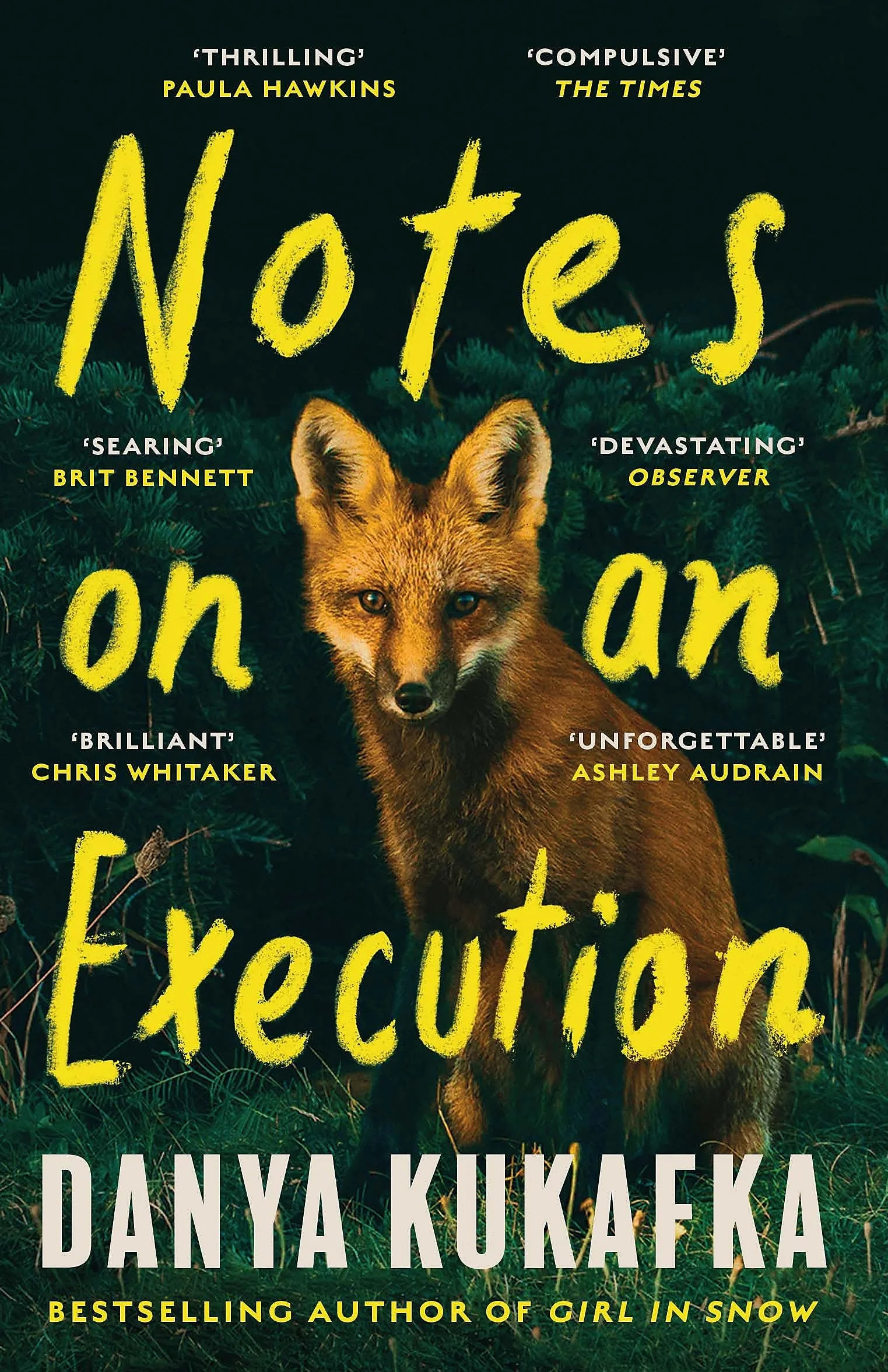 Notes on an Execution: The bestselling thriller that everyone is talking about