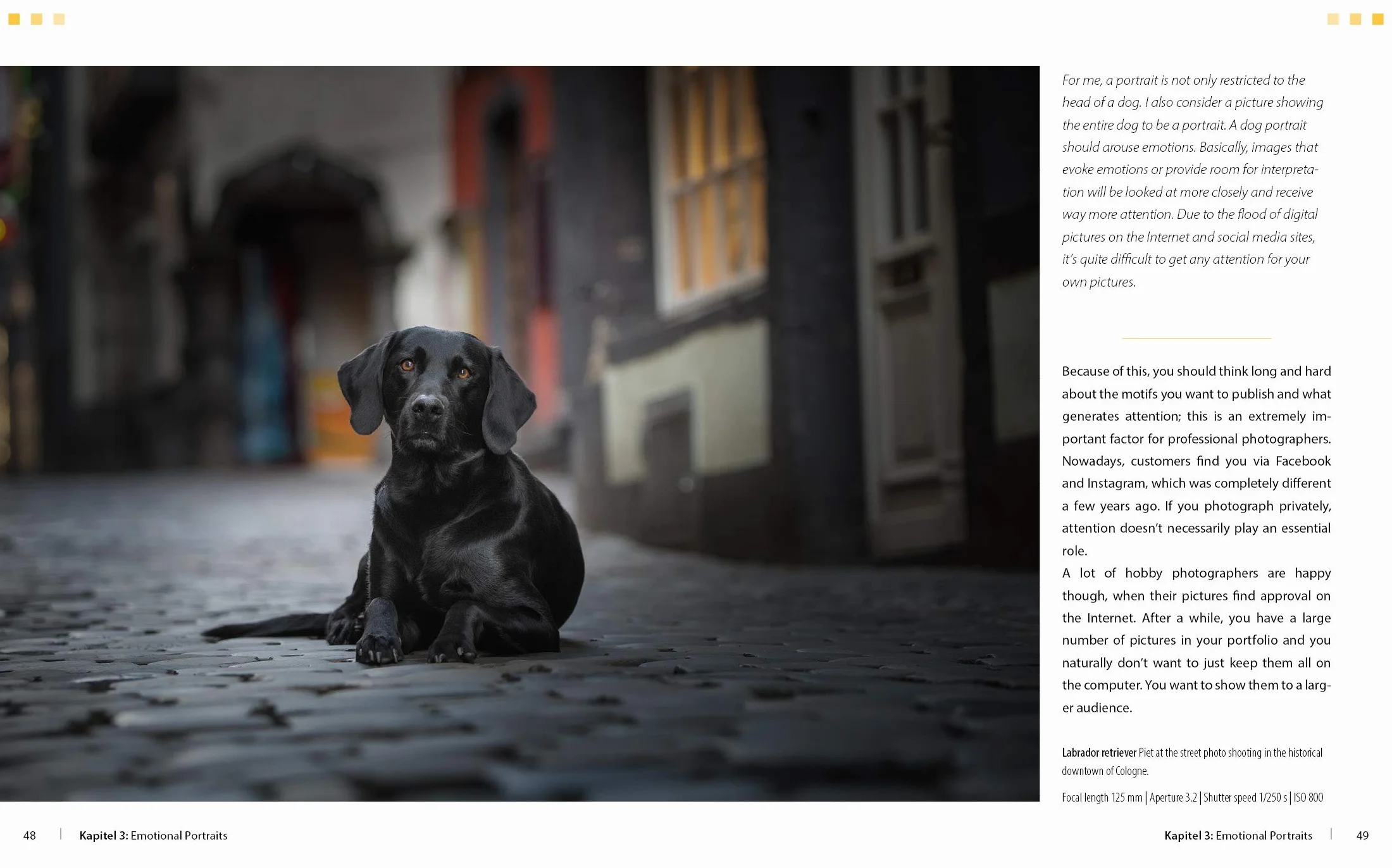 Dog Photography - Shooting with Bow "Wow" Effect