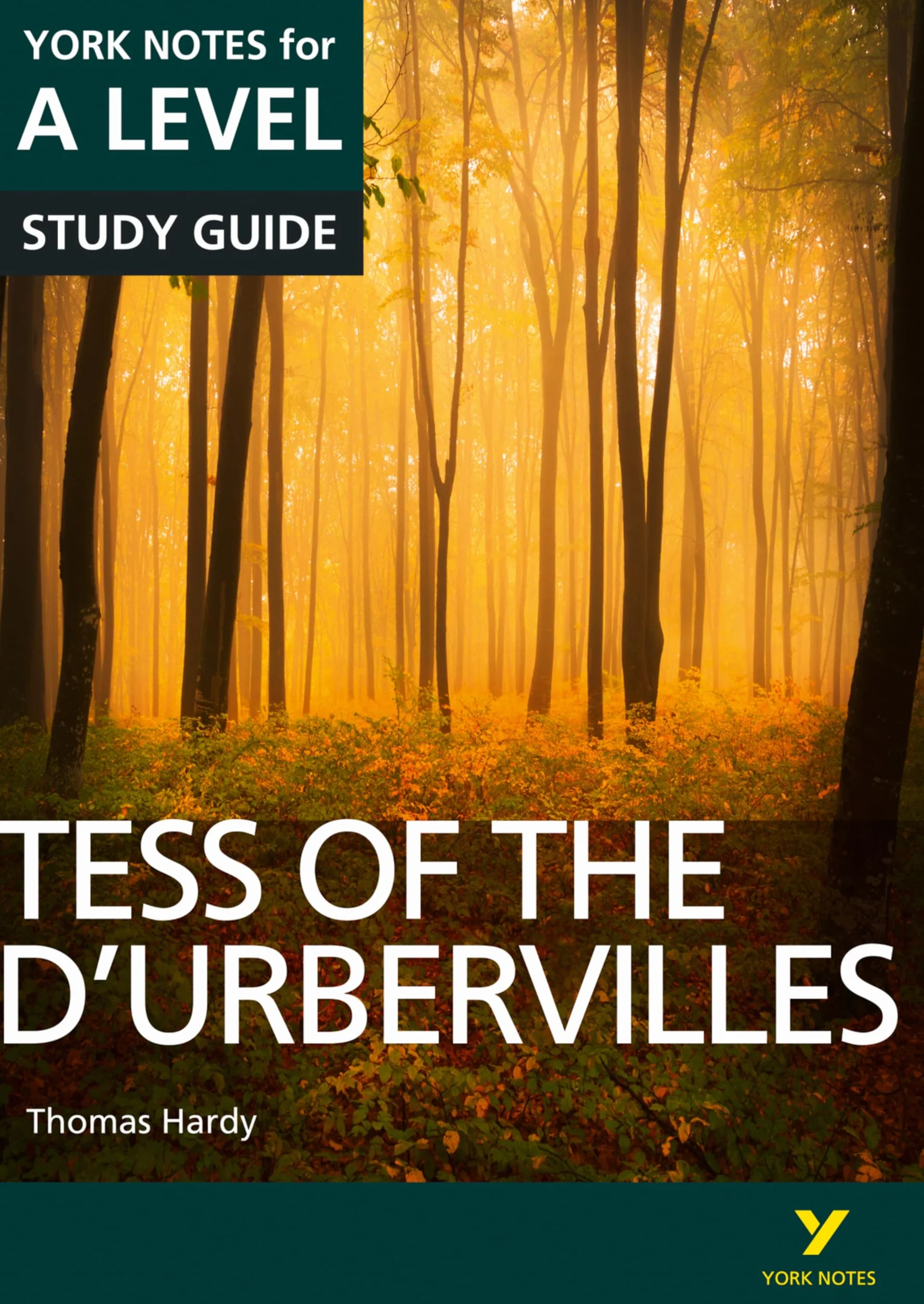 Tess of the D'Urbervilles: York Notes A-level English Literature Study Guide - for 2026, 2027 exams: York Notes Series