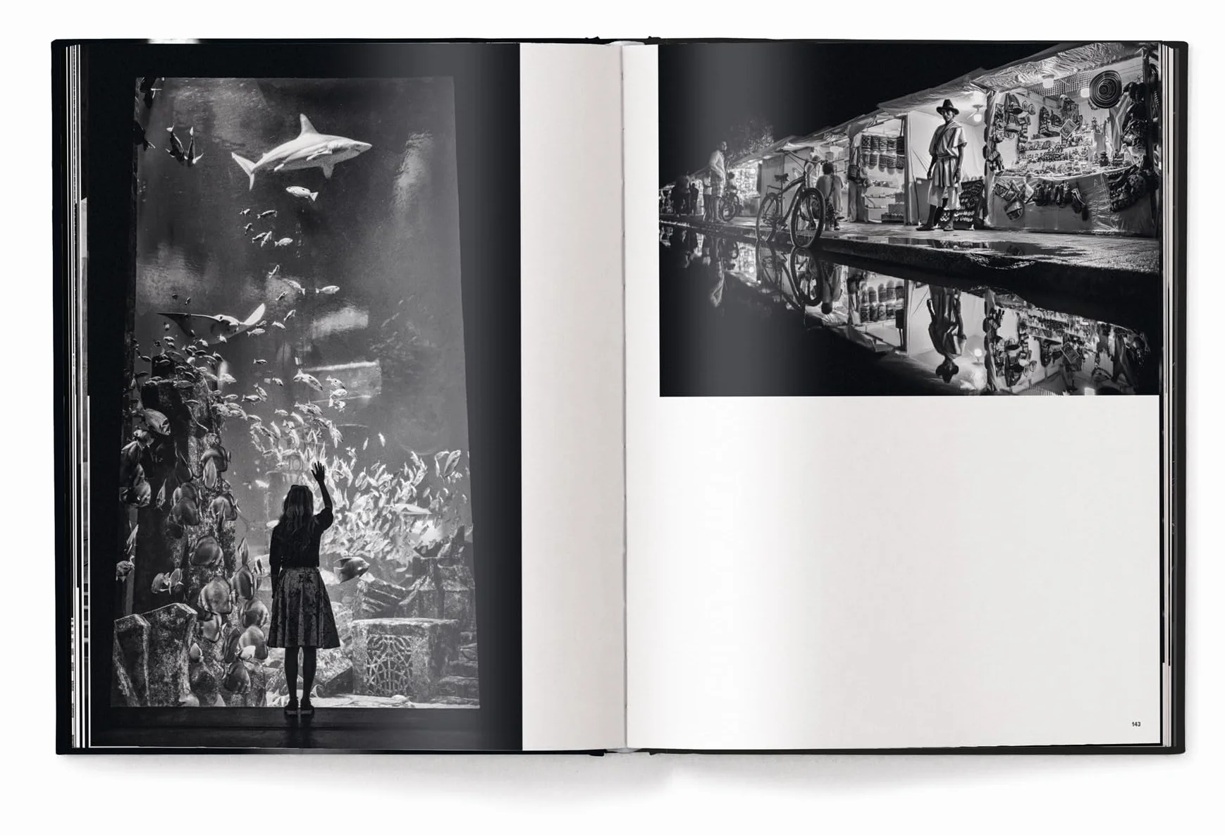 Alan Schaler Metropolis /anglais