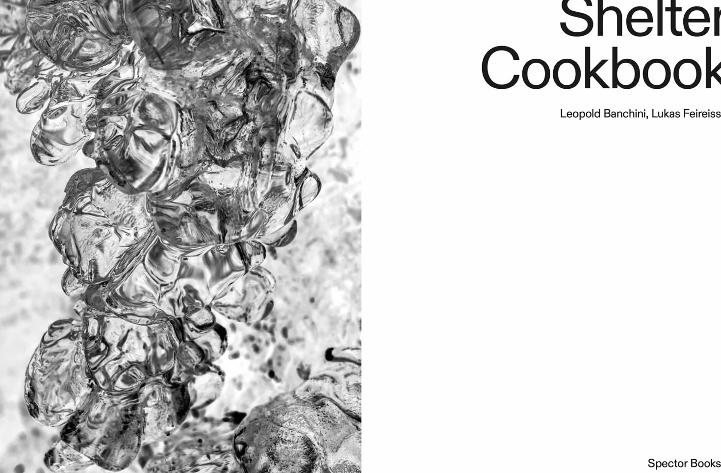Shelter Cookbook /anglais