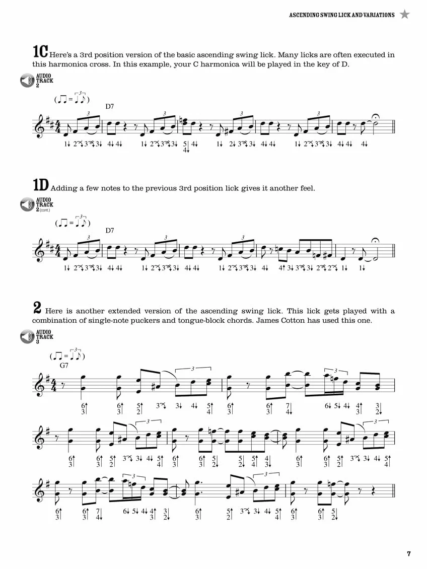 100 Authentic Blues Harmonica Licks