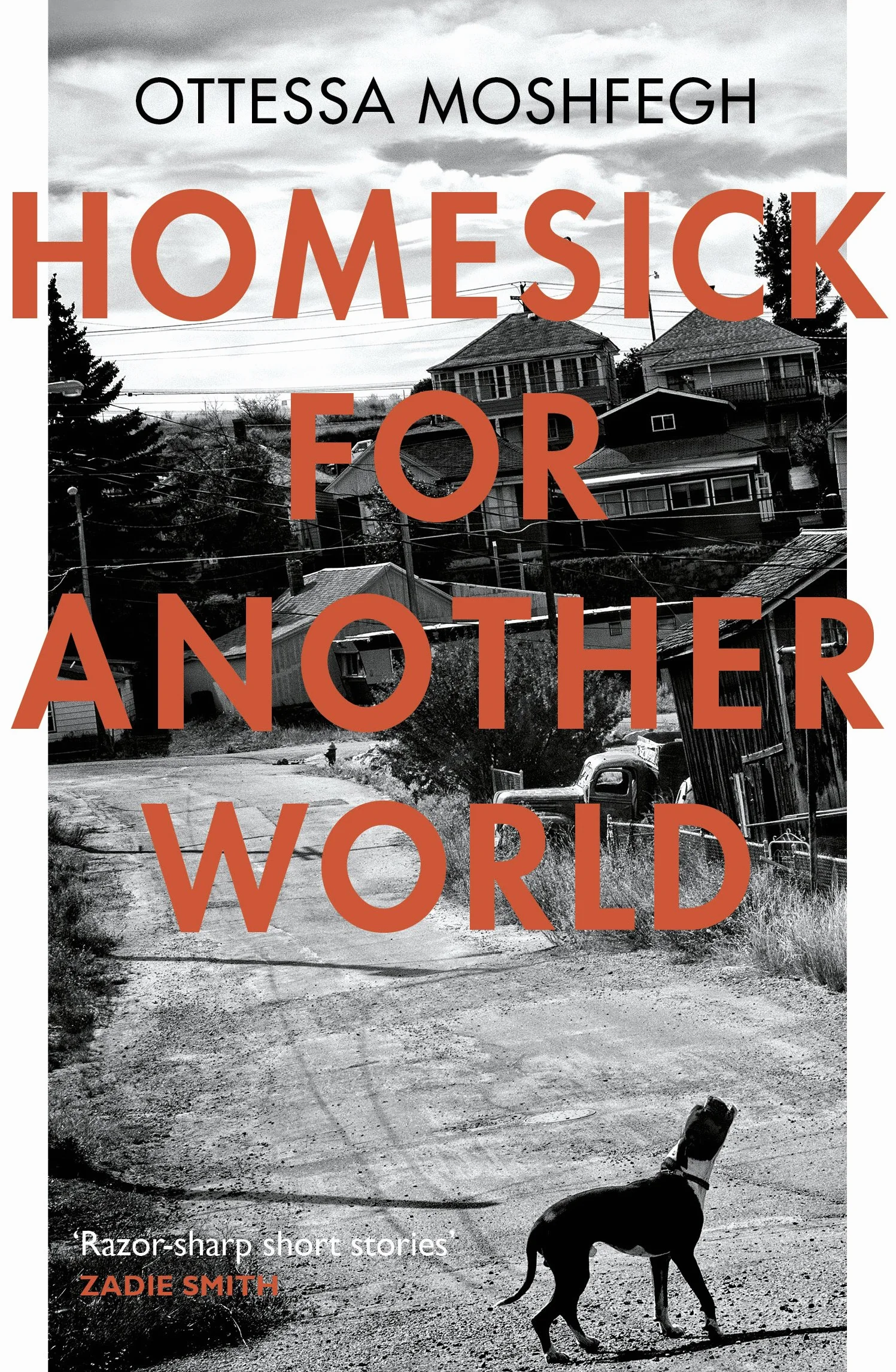 Homesick For Another World: Ottessa Moshfegh