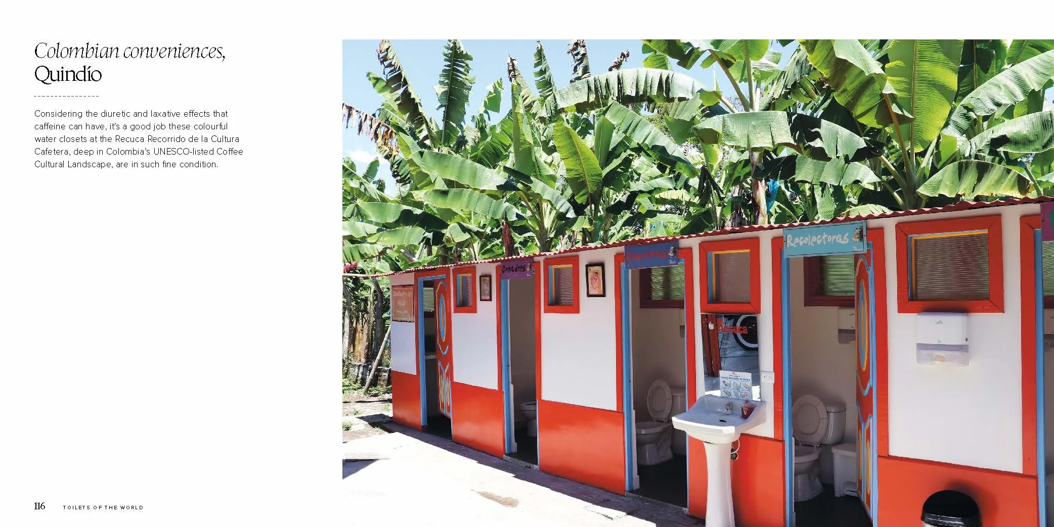 Toilets of the World 2ed -anglais-: 100 Strange and Spectacular Thrones, Commodes, Loos, and Latrines