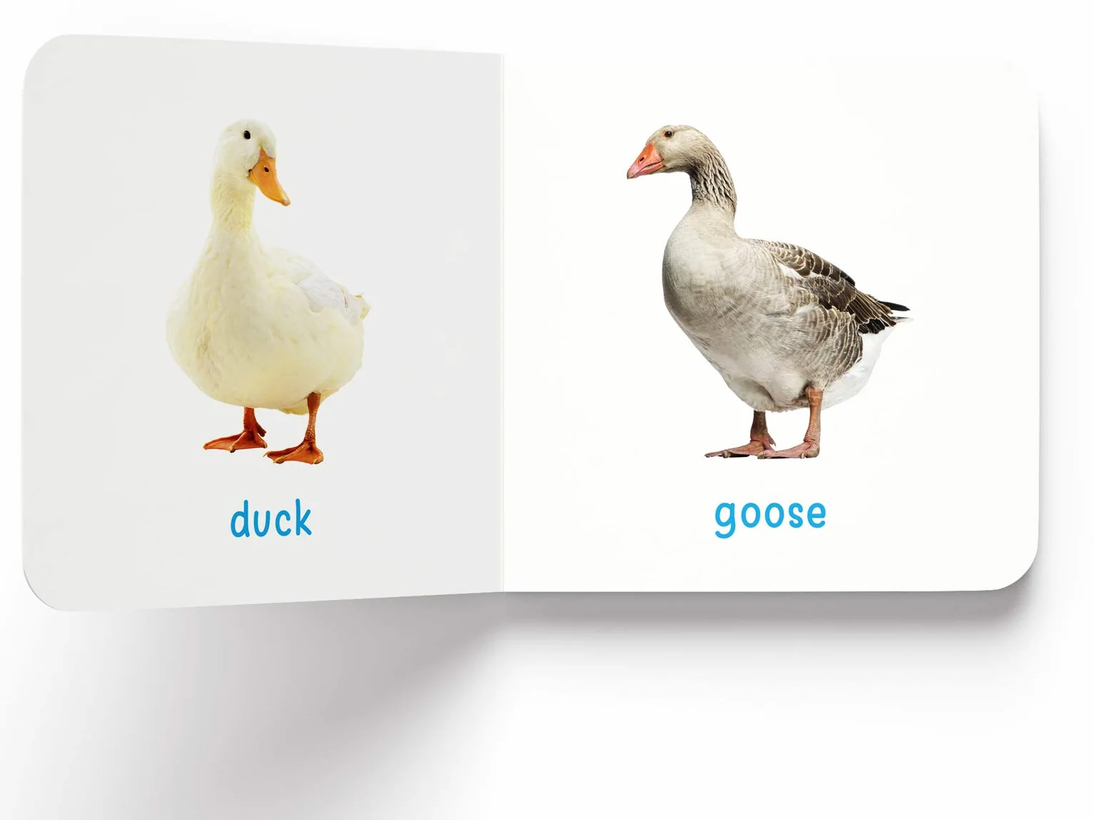 My First Book of Farm Animals & Pets: First Board Book