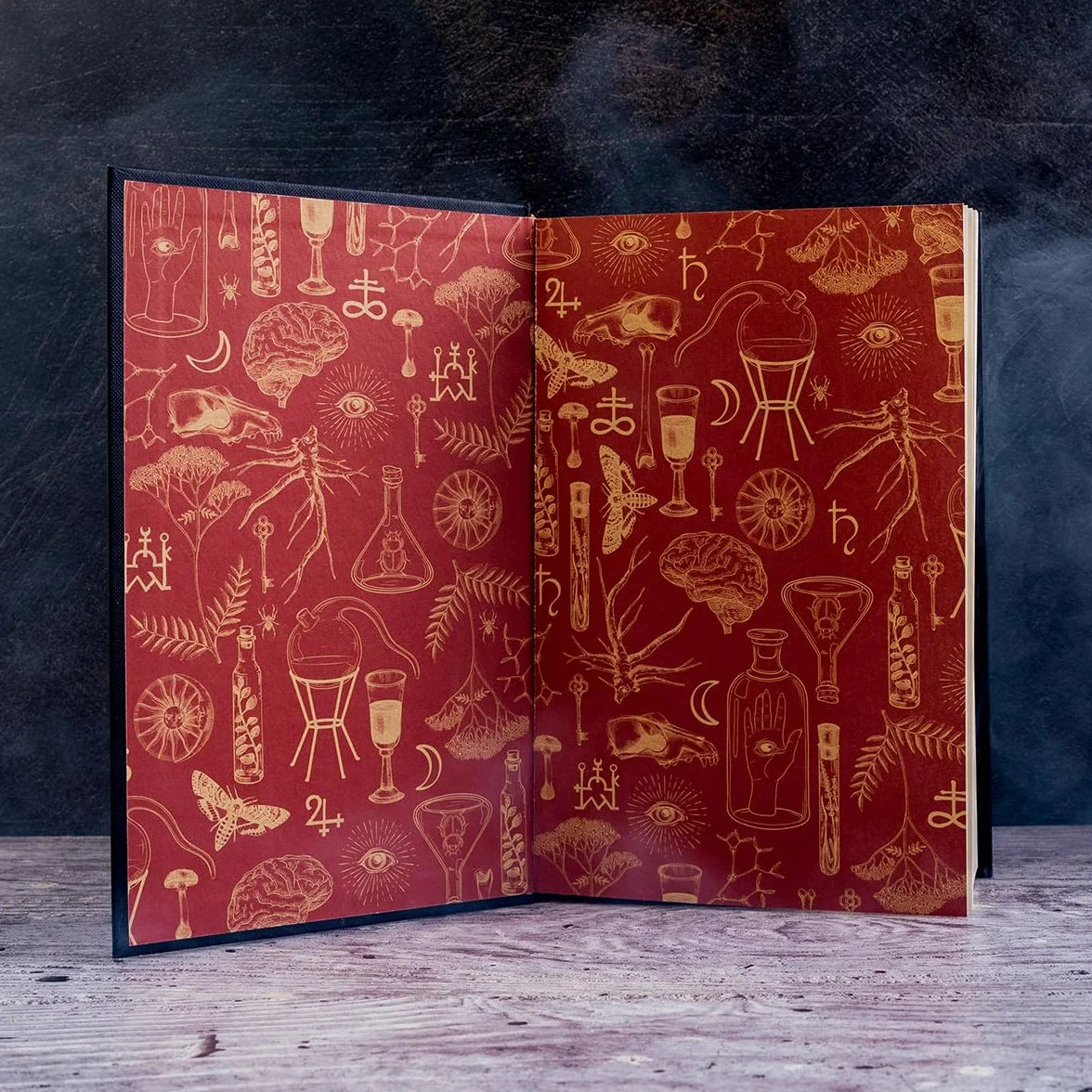 Alchemised: The 2025 debut novel phenomenon everyone is talking about and no one can put down