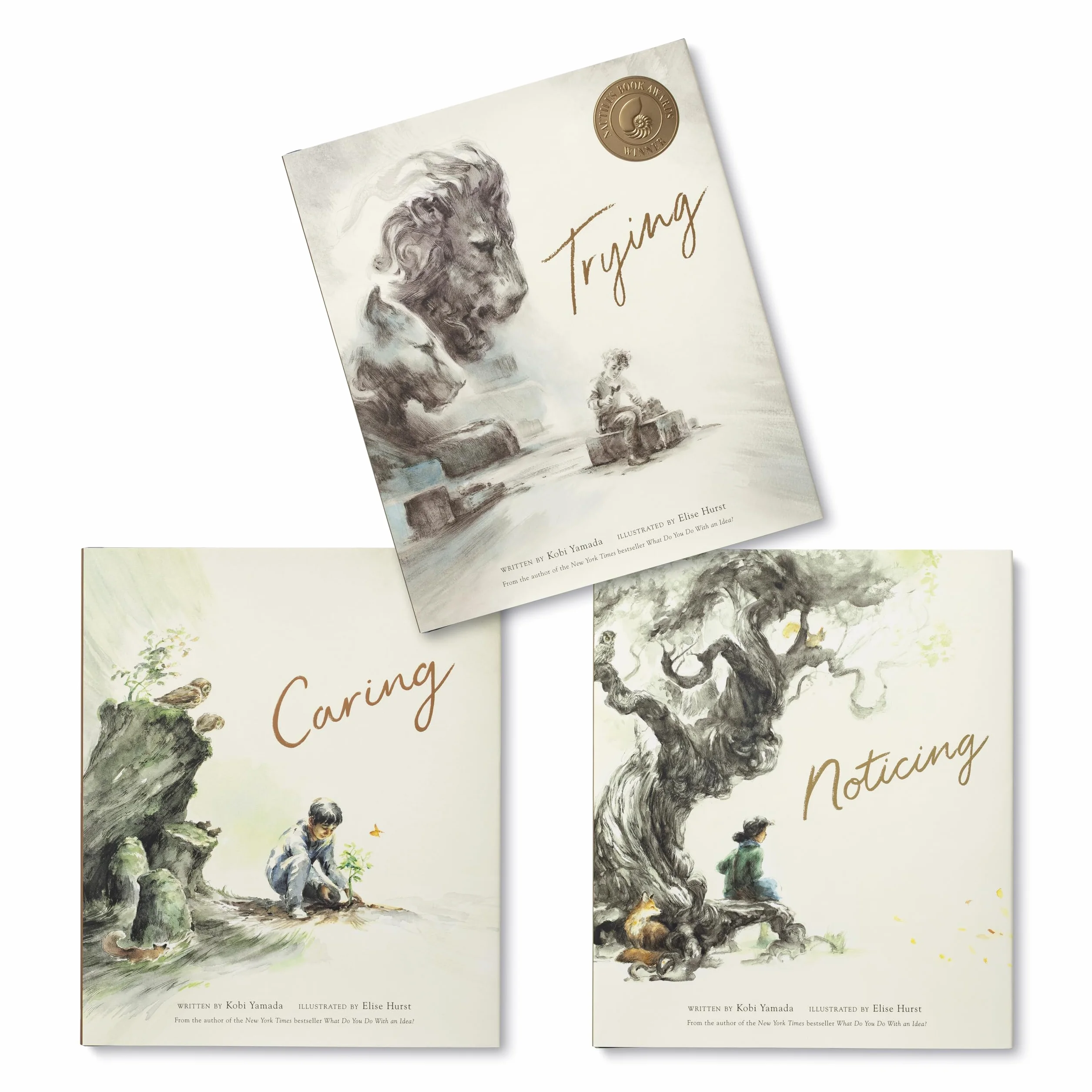 How Will You Make a Difference? Boxed Set: Trying; Noticing; Caring