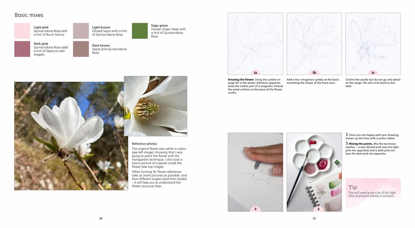 How to Paint Transparent Watercolour Flowers