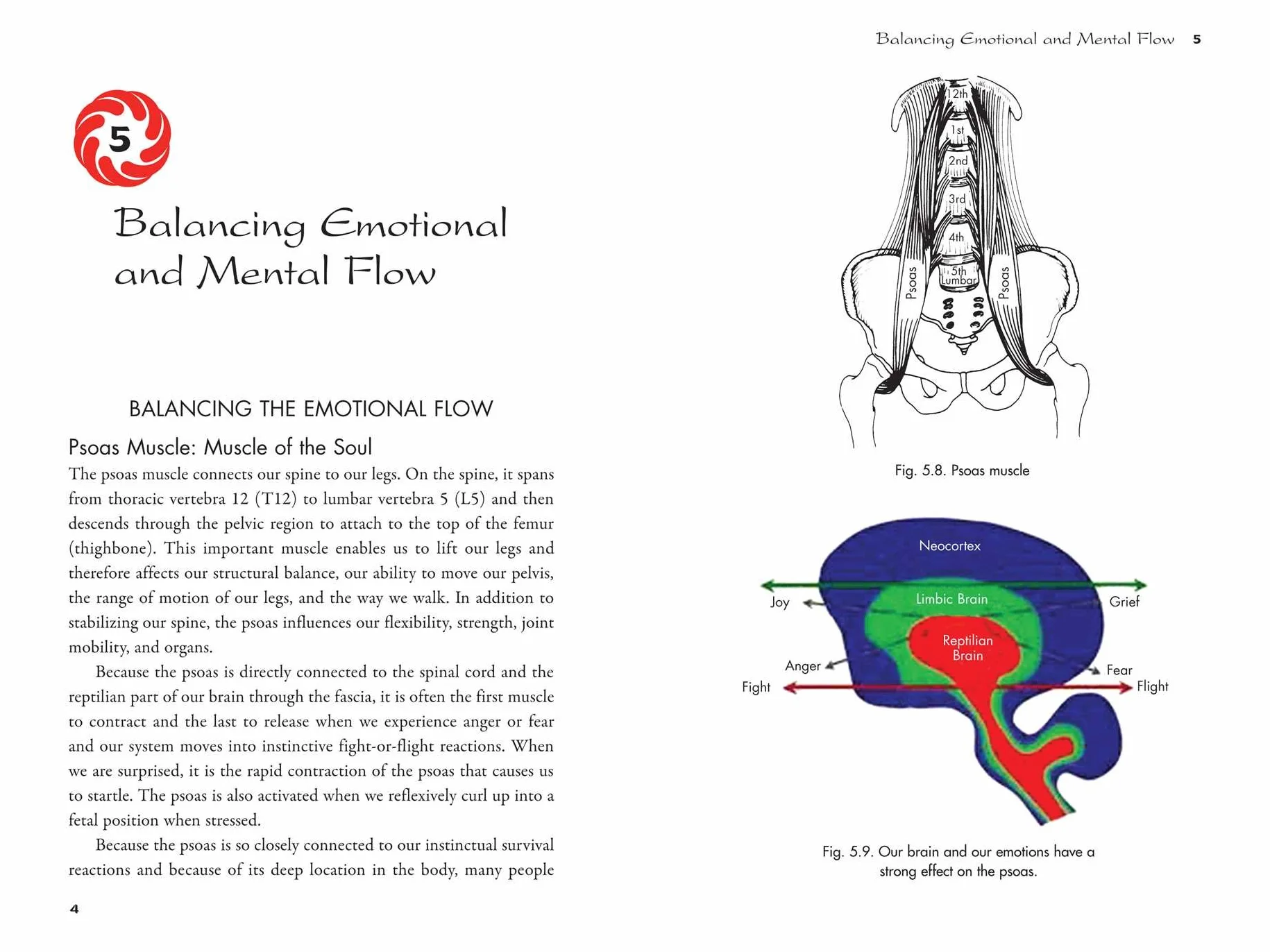 Craniosacral Chi Kung: Integrating Body and Emotion in the Cosmic Flow