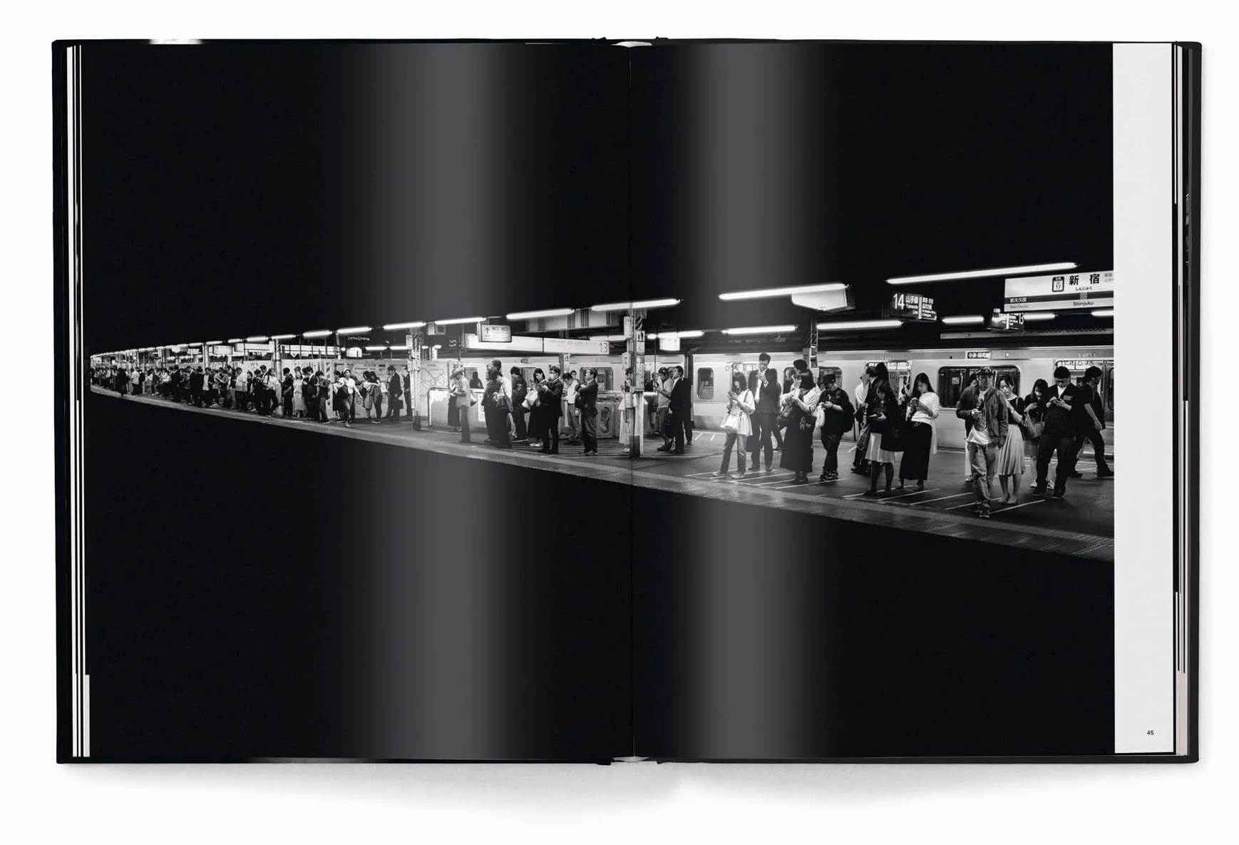 Alan Schaler Metropolis /anglais