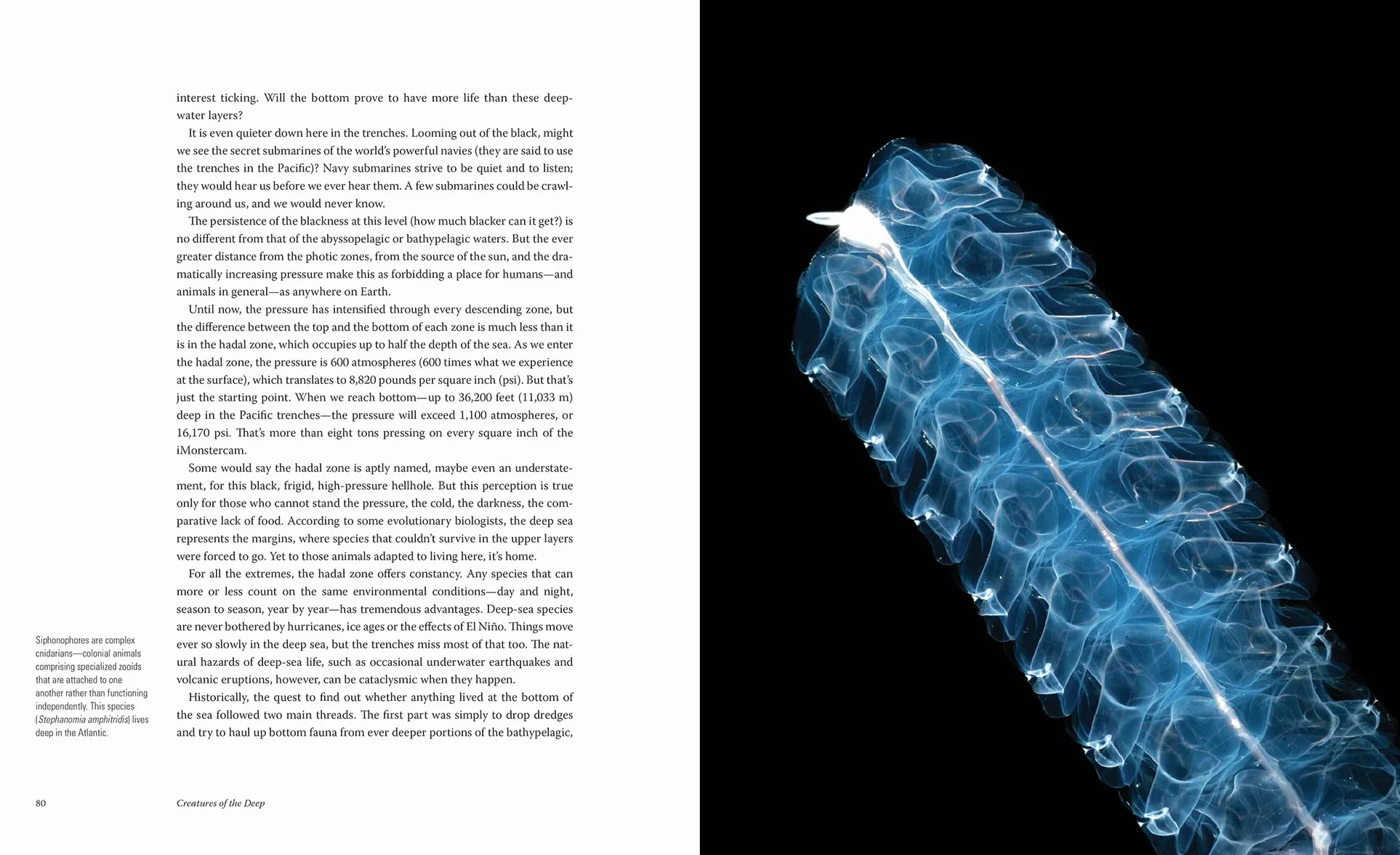 Creatures of the Deep: In Search of the Sea's Monsters and the World They Live in