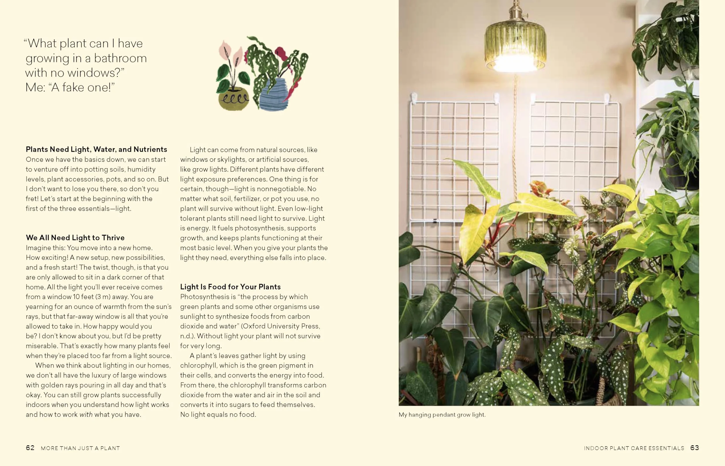 More Than Just a Plant: How to Care for Your Plants as They Care for You