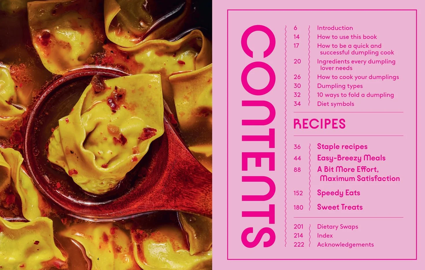 The World Is Your Dumpling: Over 80 simple, tasty and comforting recipes celebrating dumplings from around the world in this delicious new cookbook!