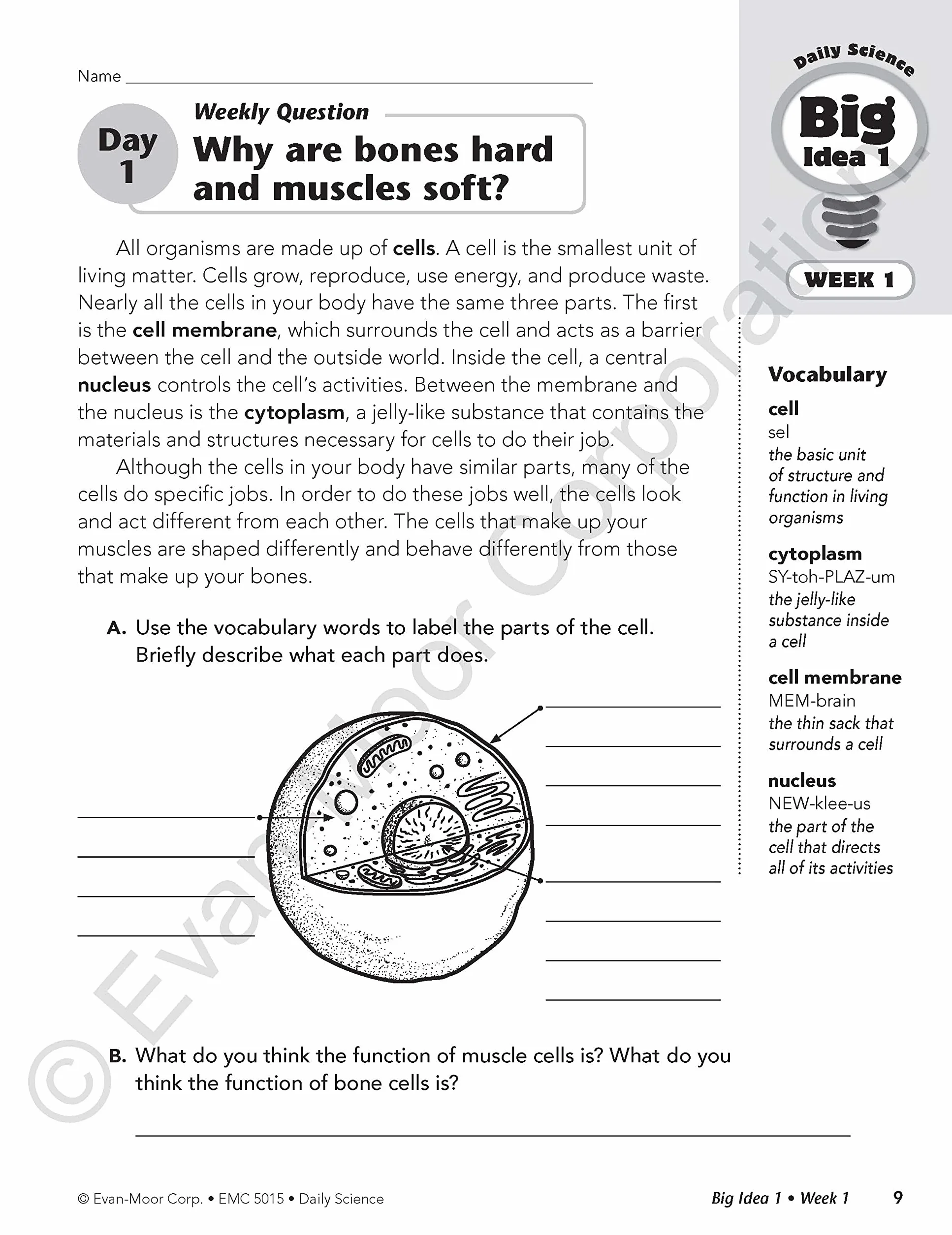 Daily Science, Grade 5 Teacher Edition