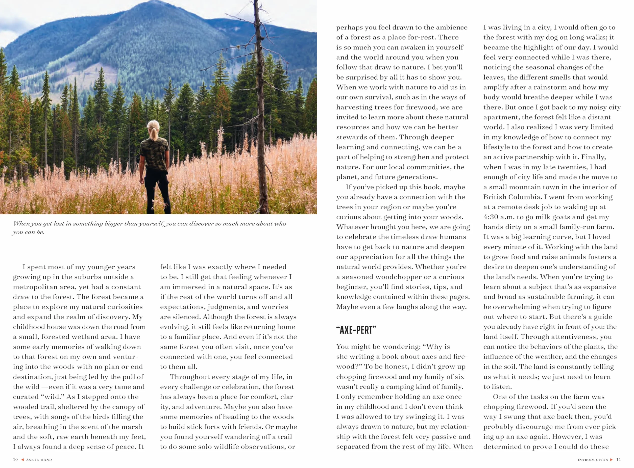 Axe in Hand: A Woodchopper's Guide to Blades, Wood, and Fire