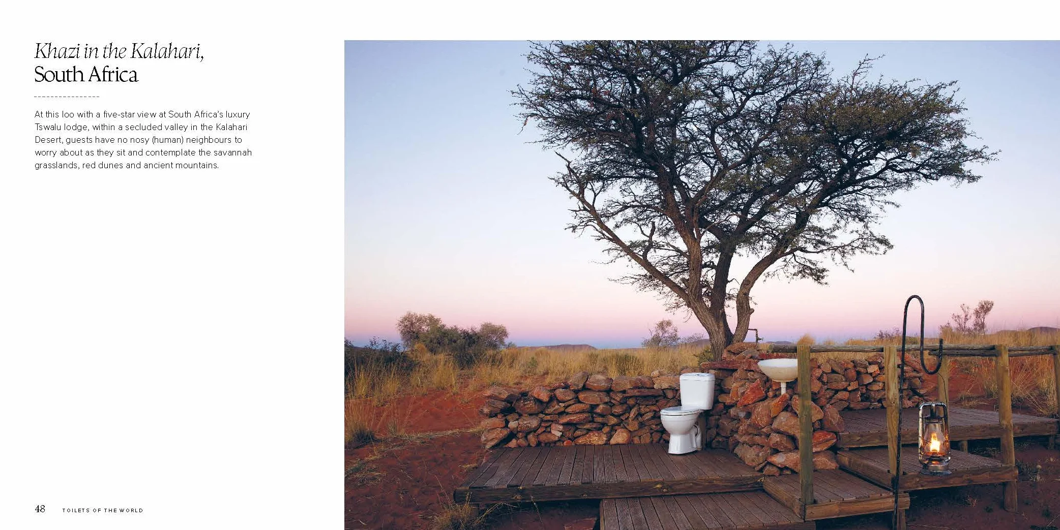 Toilets of the World 2ed -anglais-: 100 Strange and Spectacular Thrones, Commodes, Loos, and Latrines
