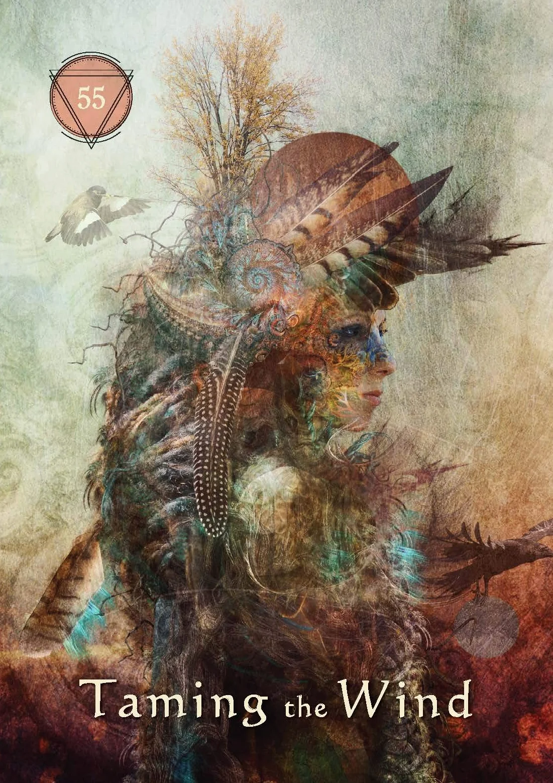 Mystical Shaman Oracle: A 64-Card Deck and Guidebook