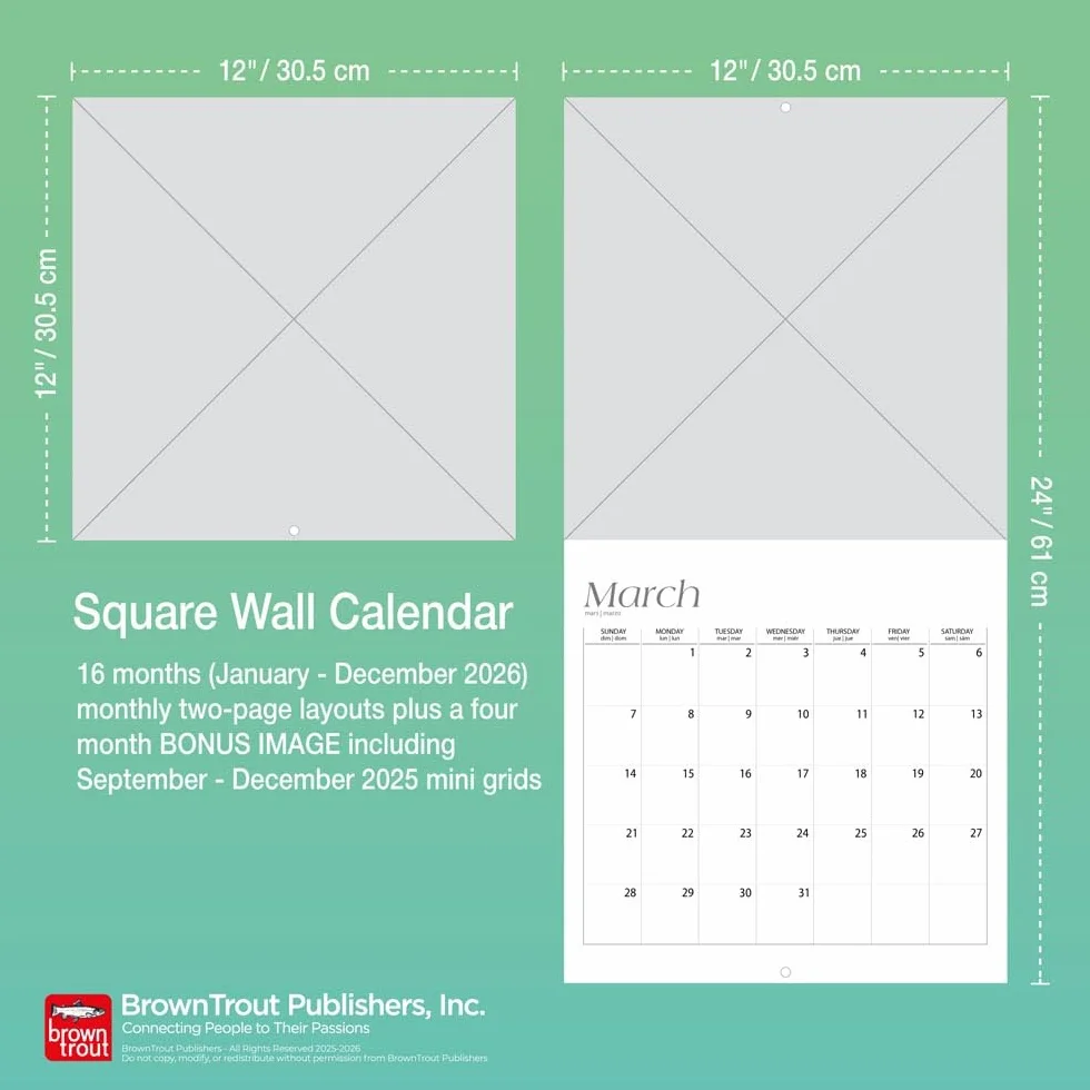 Guinea Pigs – Meerschweinschen 2026 – 16-Monatskalender: Original BrownTrout-Kalender [Mehrsprachig] [Kalender]