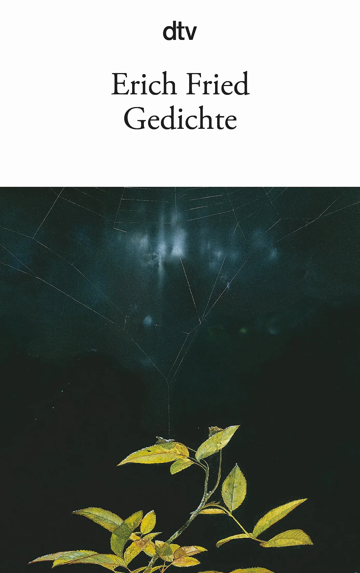 Gedichte: 12256